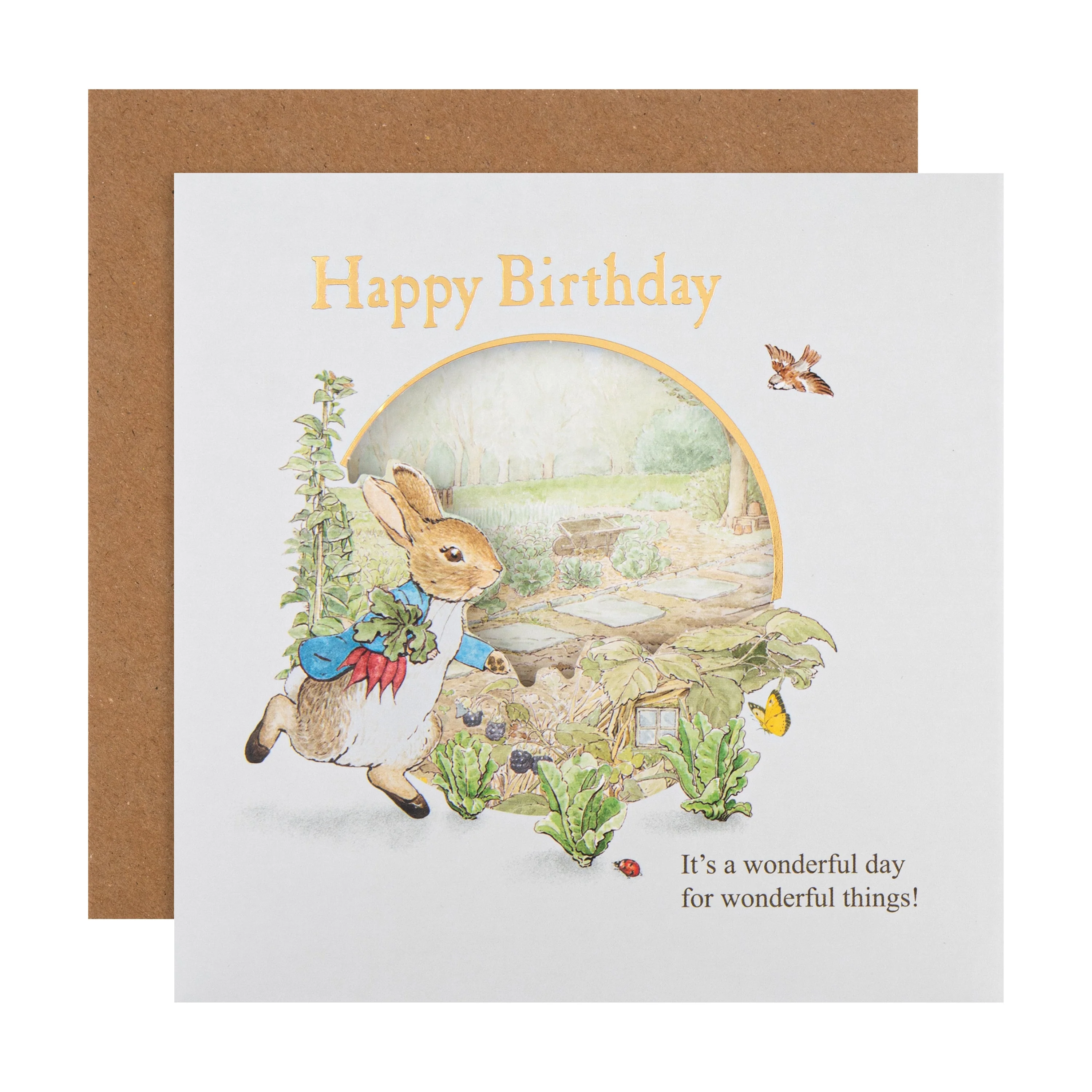 Kids Birthday Card - Beatrix Potter Peter Rabbit™ Design