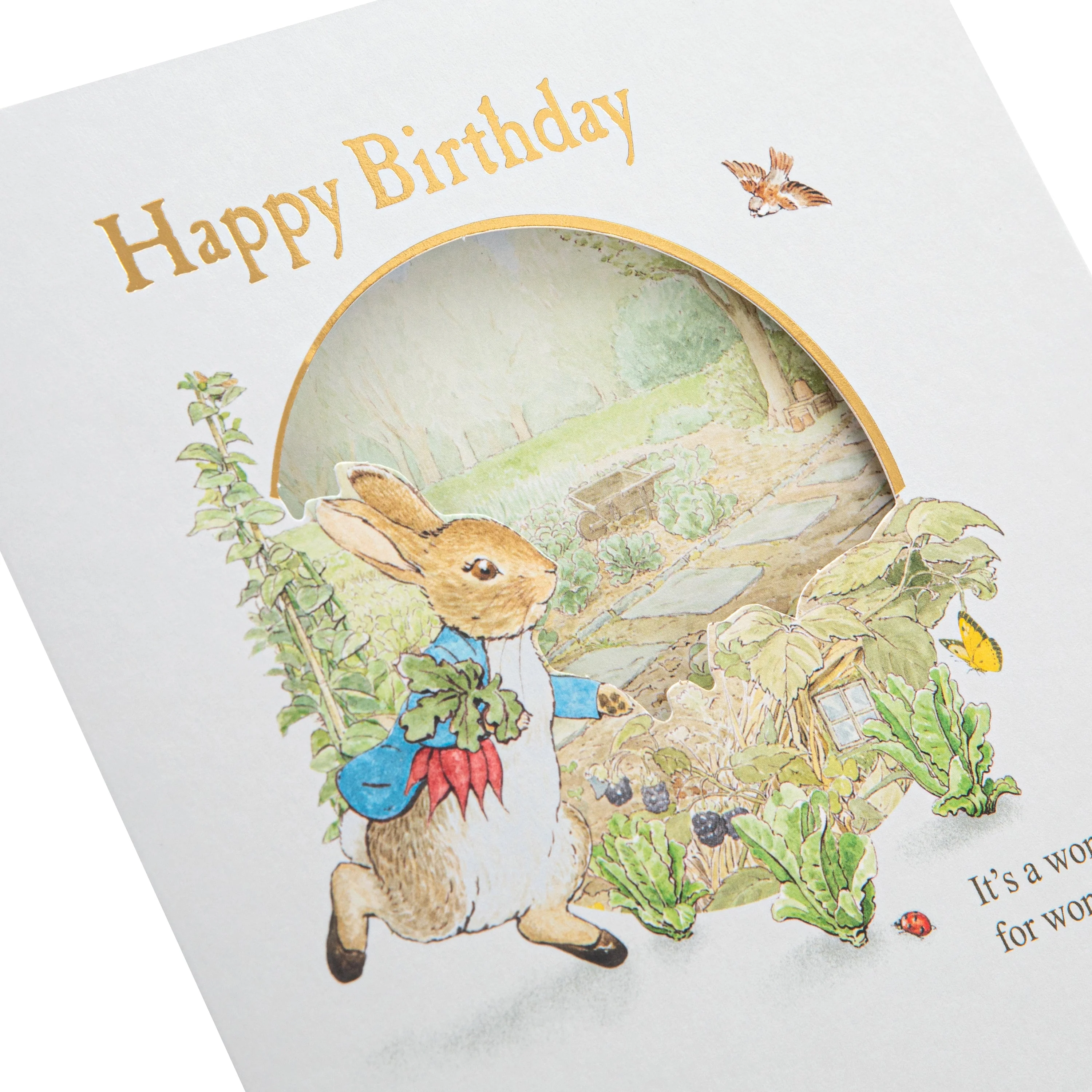 Kids Birthday Card - Beatrix Potter Peter Rabbit™ Design - Image 5