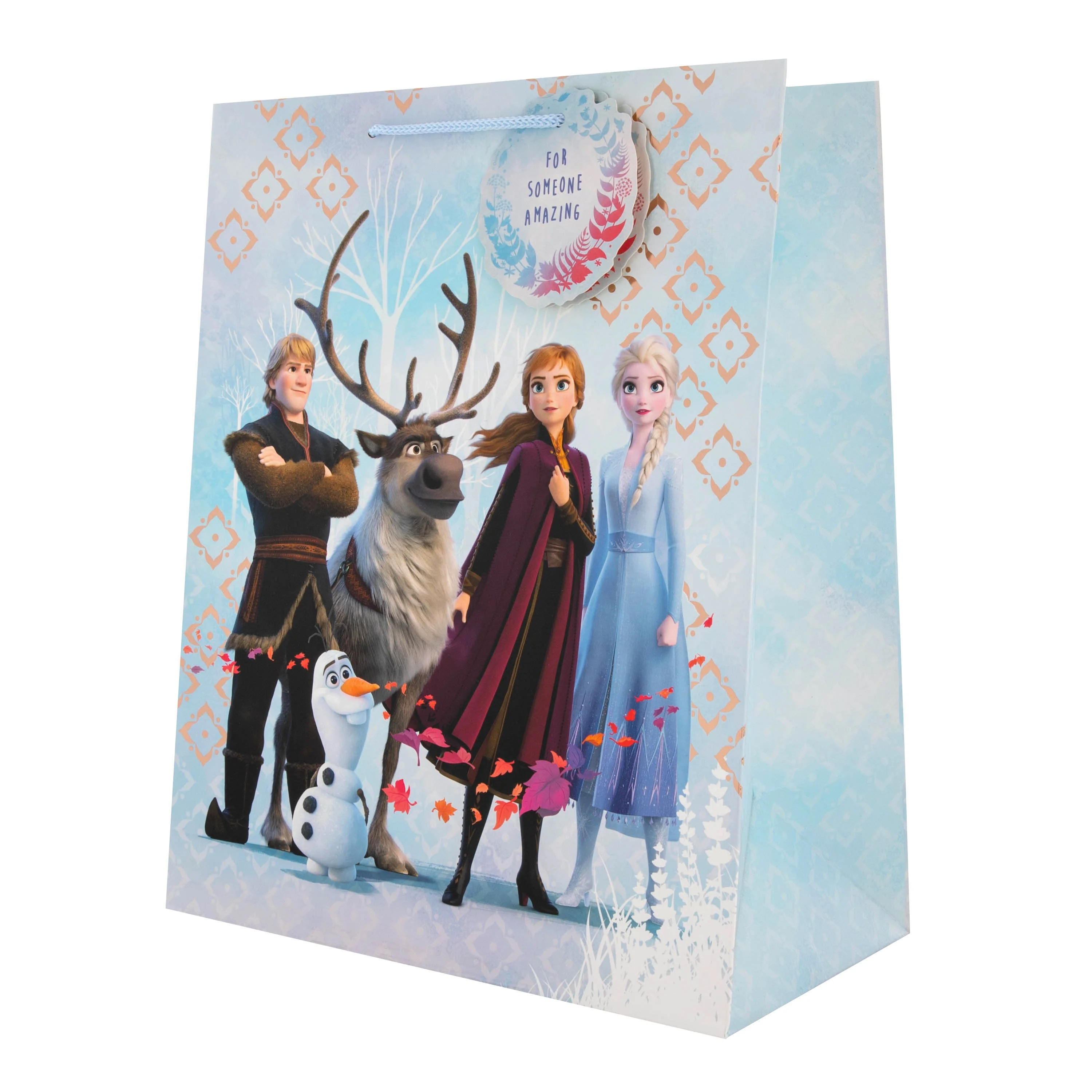 Kids Large Gift Bag - Disney Frozen 2 Characters Design