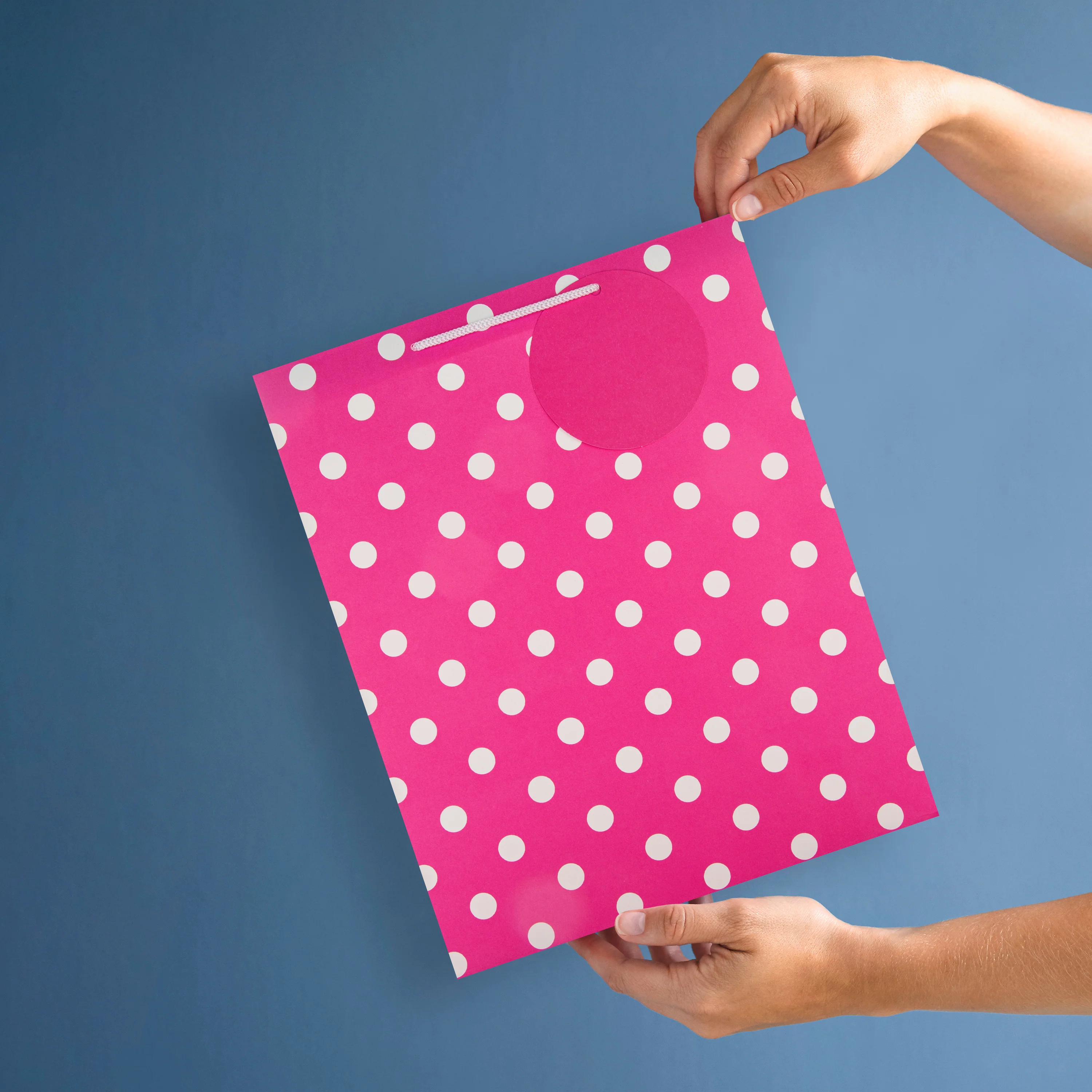 Large Gift Bag - Pink Polka-Dot Design - Image 2