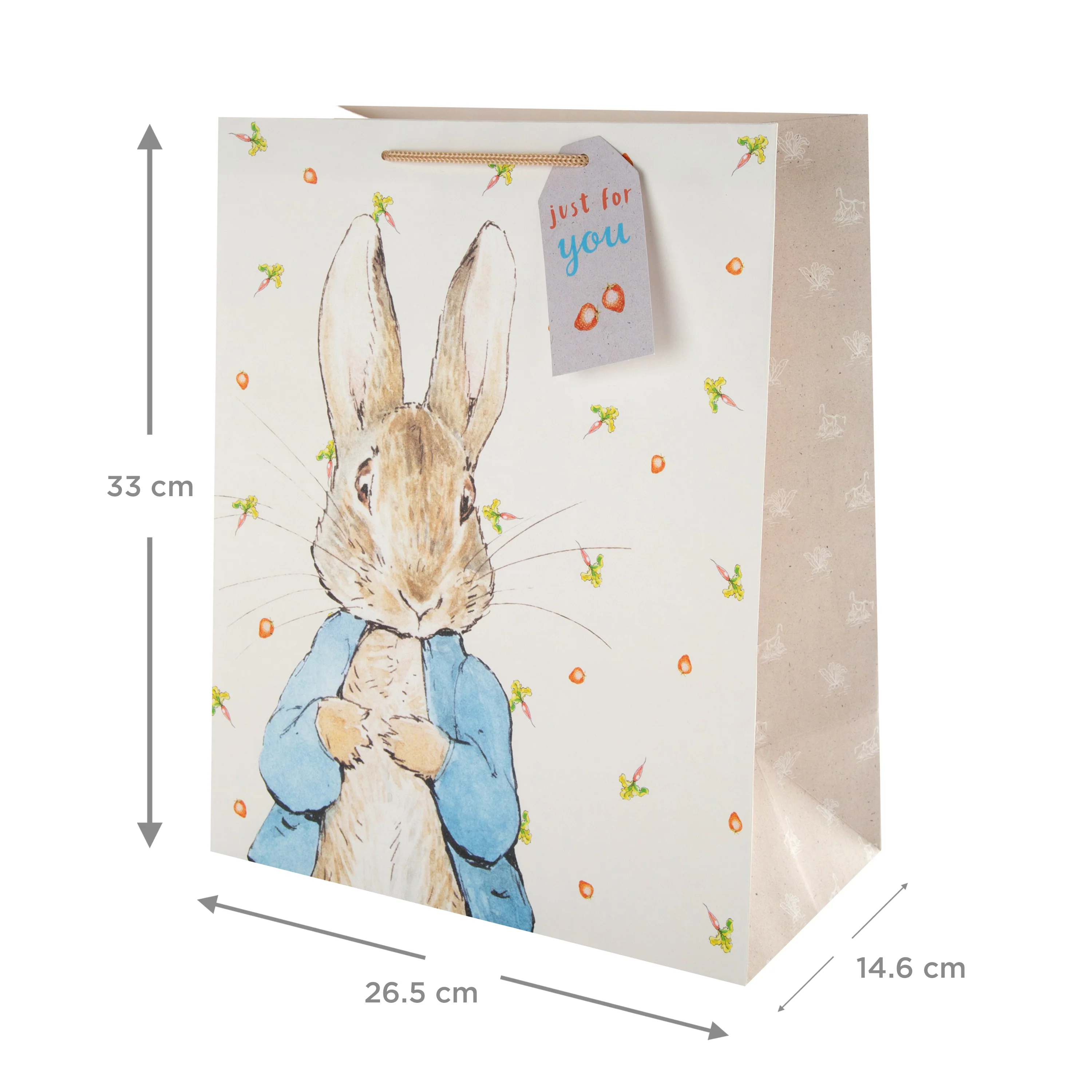 Large Gift Bag - Cute Peter Rabbit™ Design - Image 3