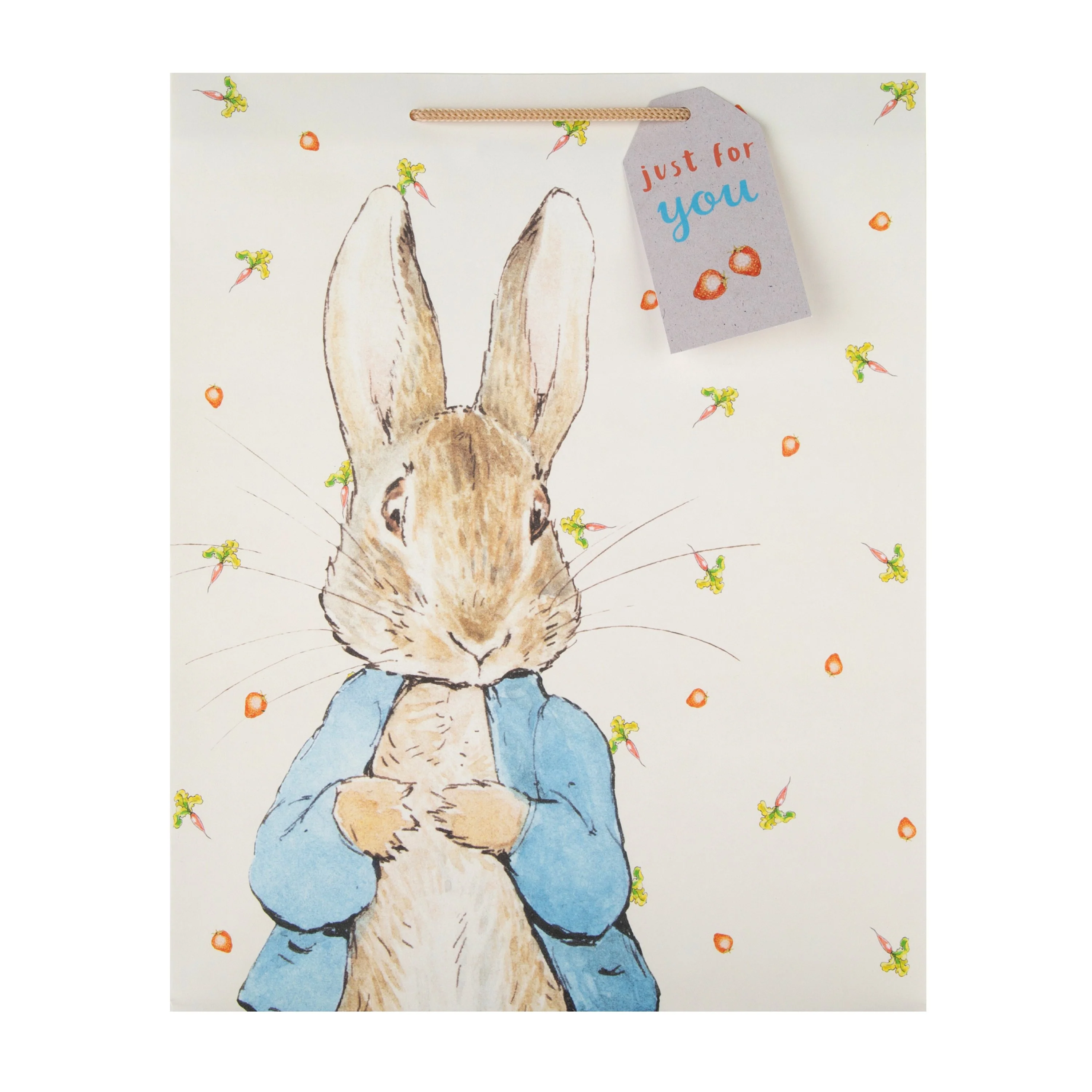 Large Gift Bag - Cute Peter Rabbit™ Design - Image 4