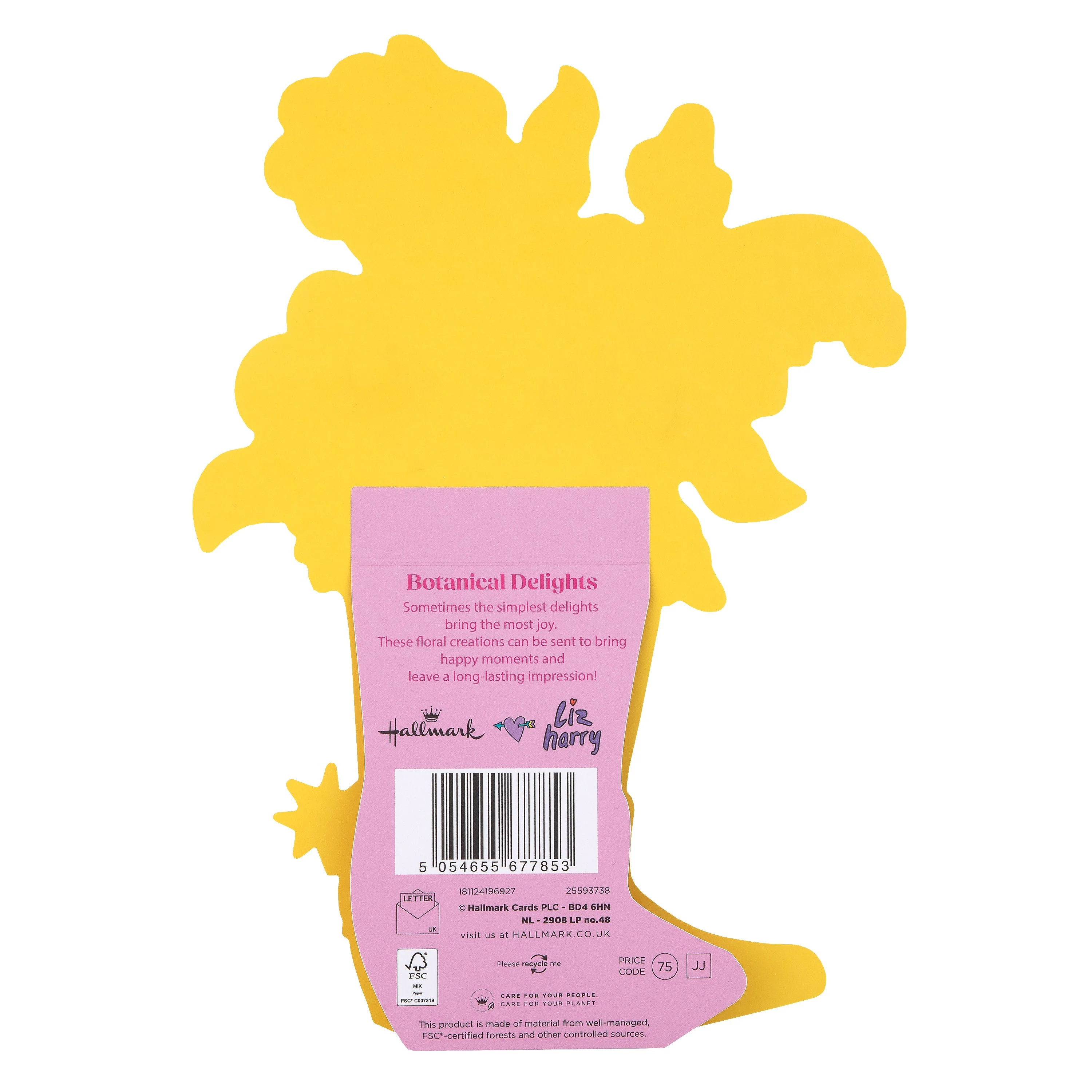 Magical Botanicals X Liz Harry Card - 'Botanical Delights' Cowboy Boot Design - Image 6