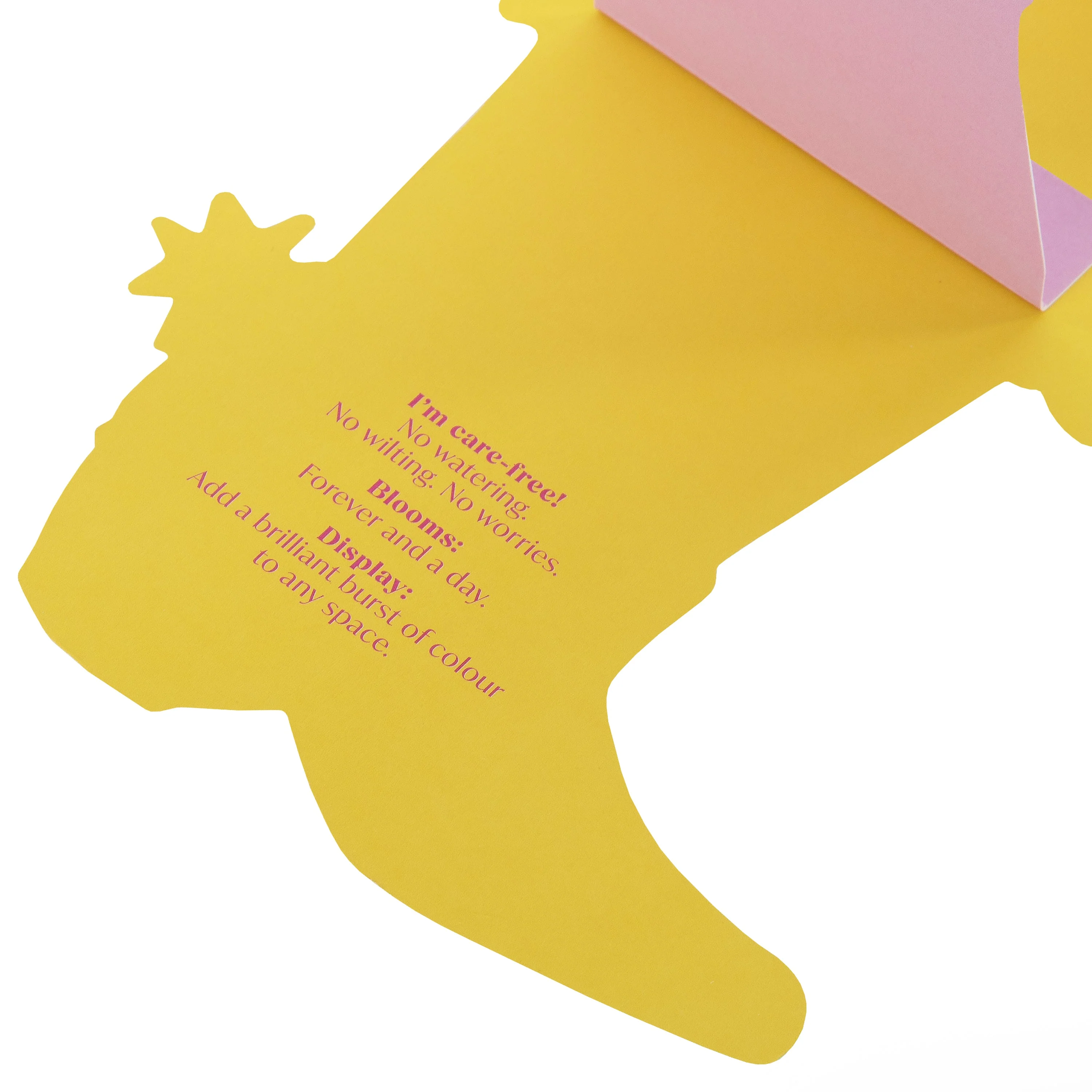 Magical Botanicals X Liz Harry Card - 'Botanical Delights' Cowboy Boot Design - Image 7