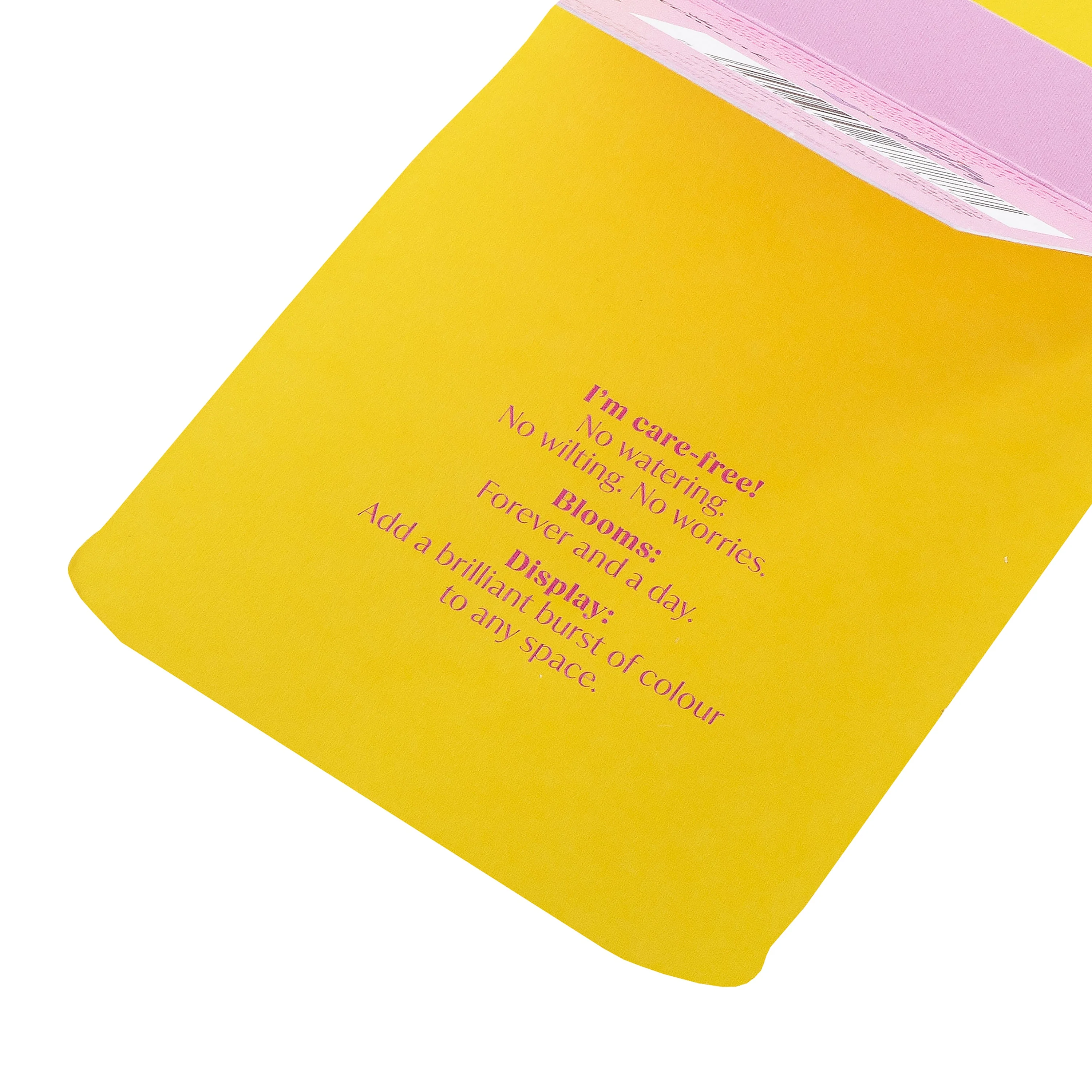 Magical Botanicals X Liz Harry Card - 'Botanical Delights' Golden Honey Design - Image 7
