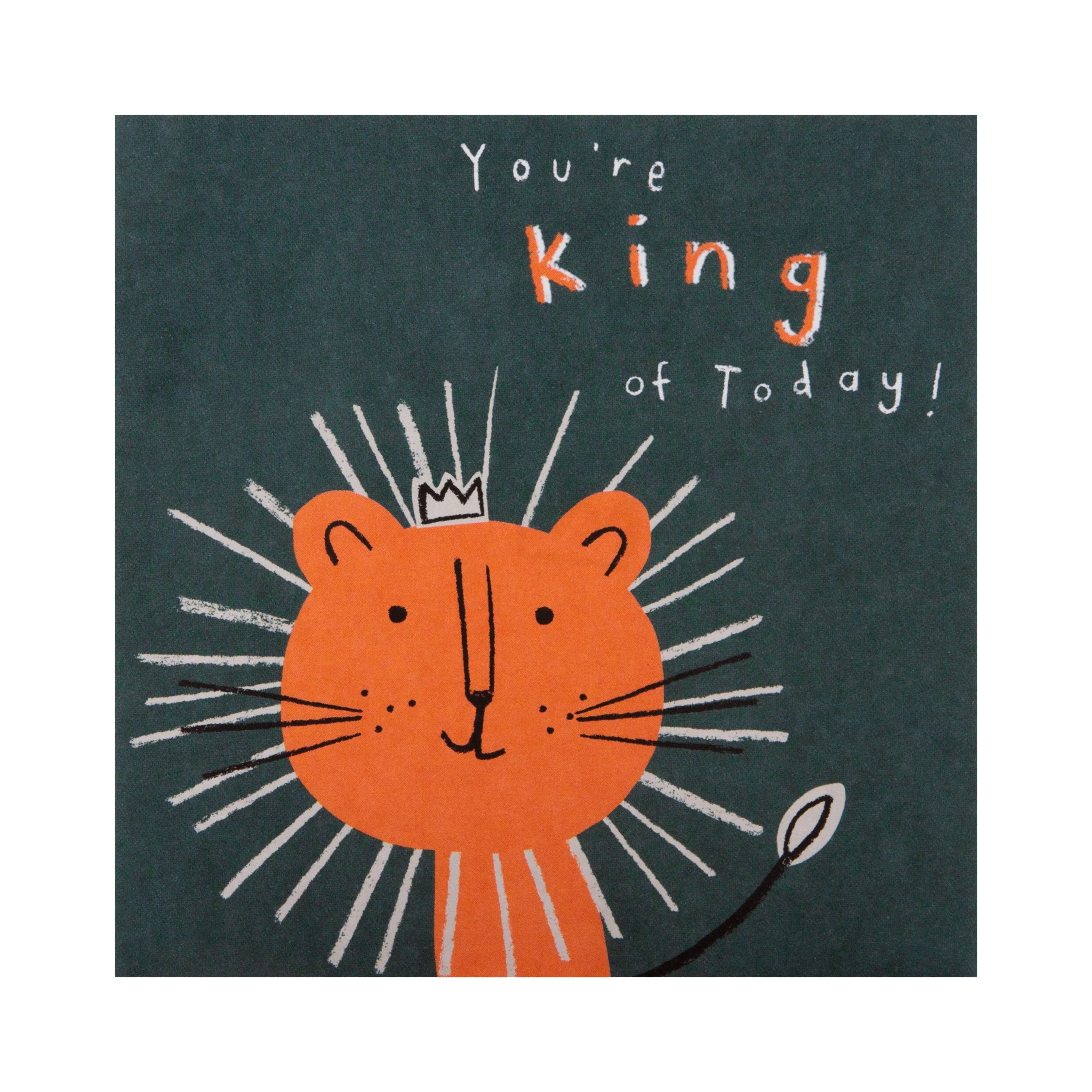 Pack of Kids Birthday Cards - 10 Cards in 2 Fun Animal Designs - Image 3