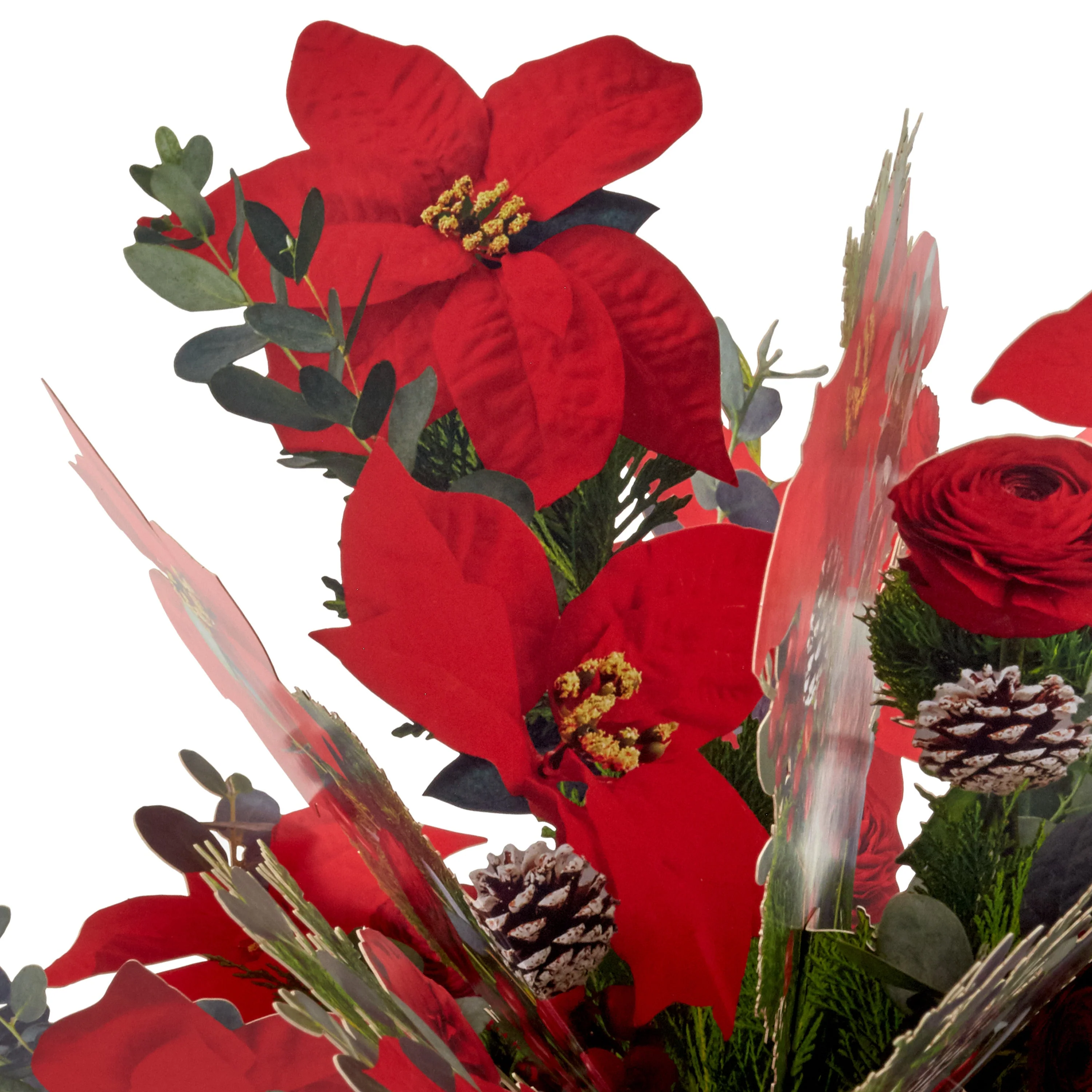 Paper Wonder Jumbo Sized 3D Pop-Up Poinsettia Bouquet Christmas Card - Image 4