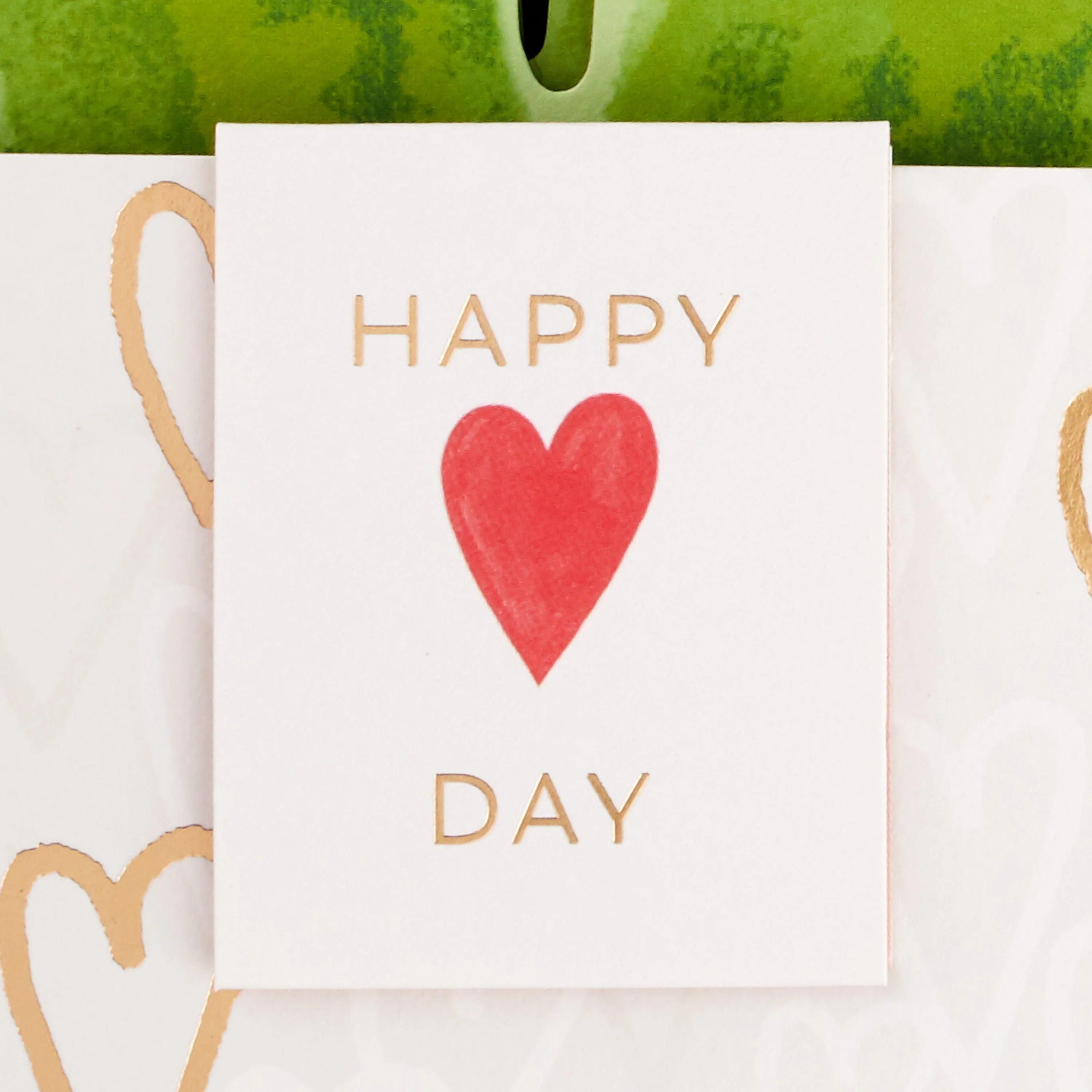 Paper Wonder Valentine's Day Card - 3D Paper Snake Plant Design - Image 5