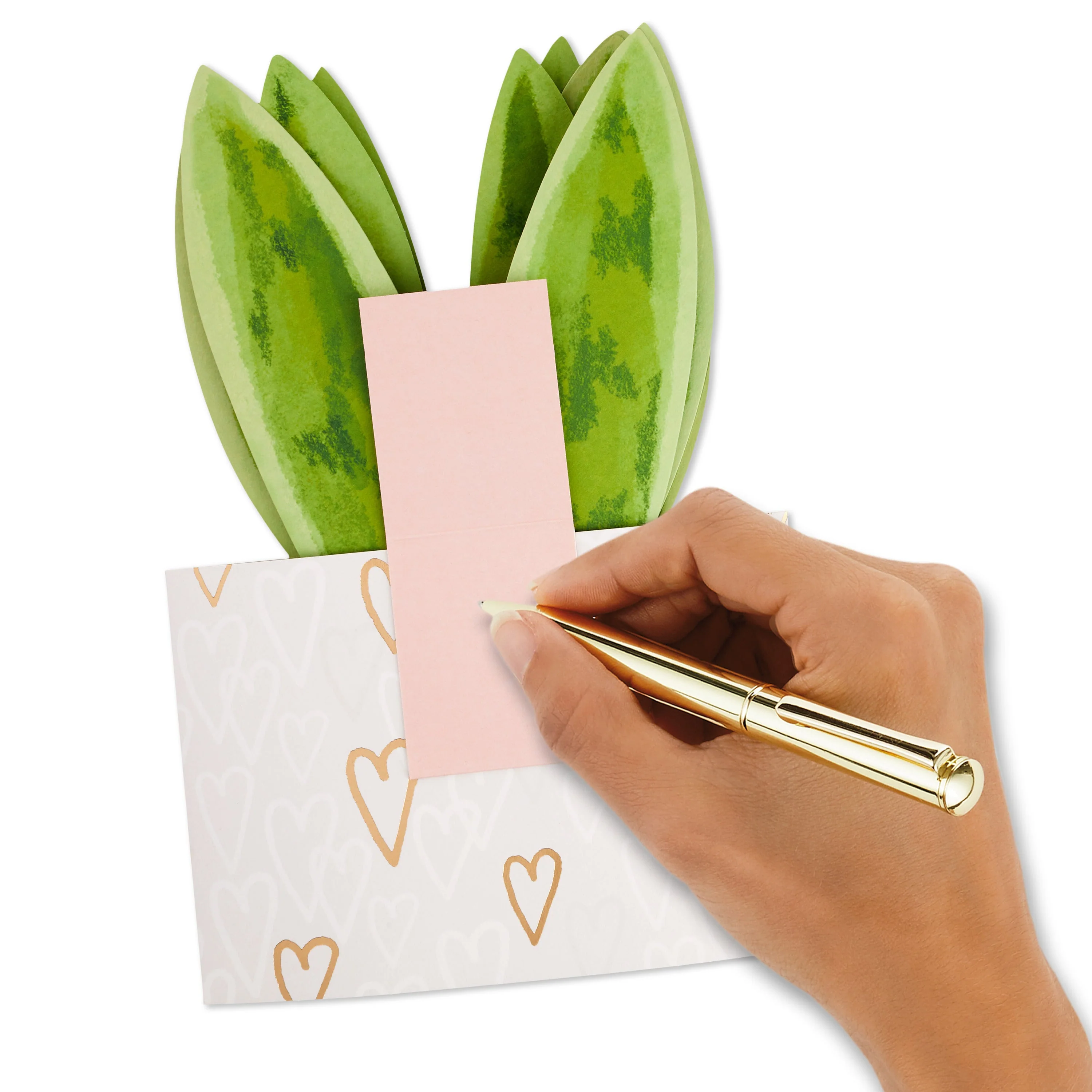 Paper Wonder Valentine's Day Card - 3D Paper Snake Plant Design - Image 6