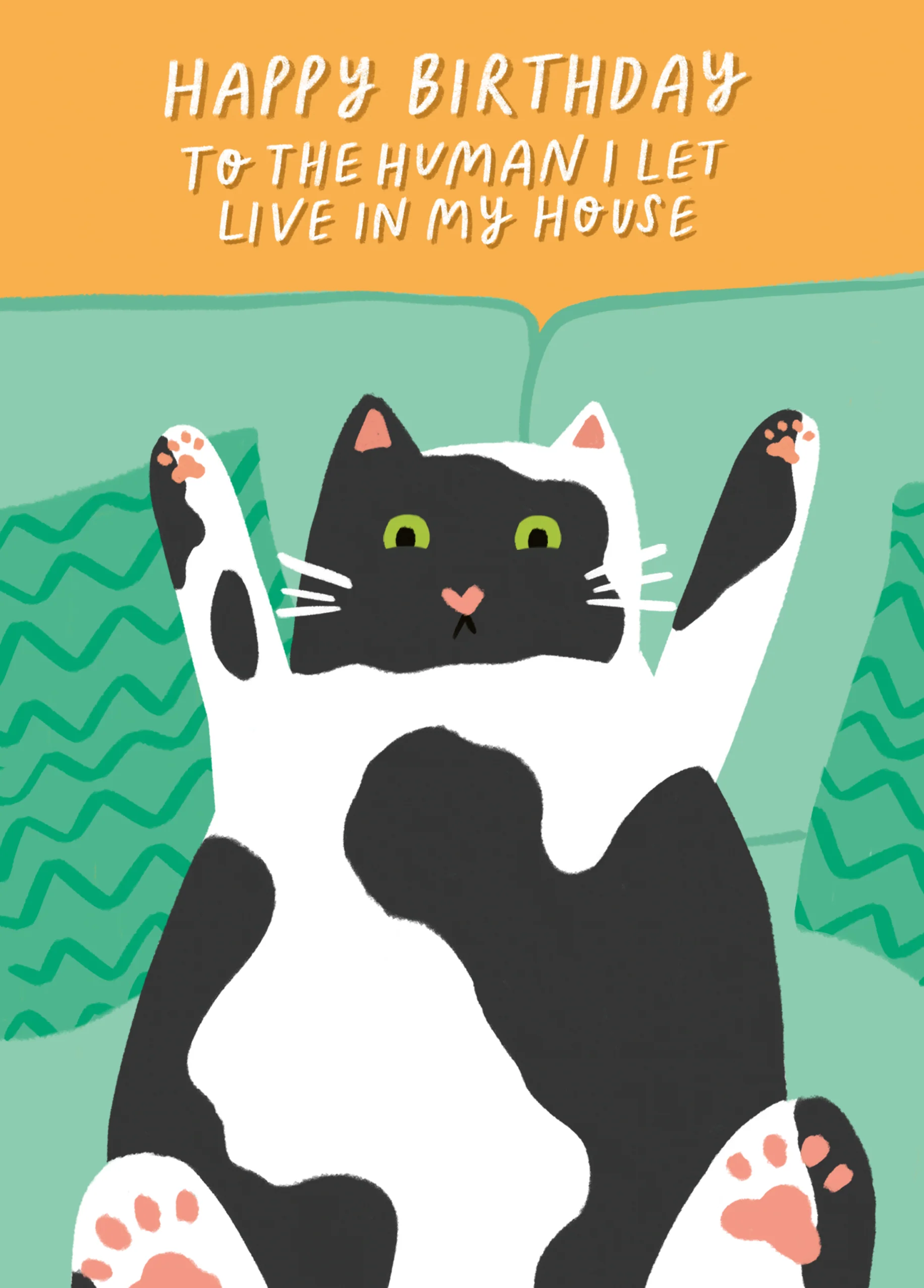 Personalised Birthday Card Funny Cat Roommate Illustration