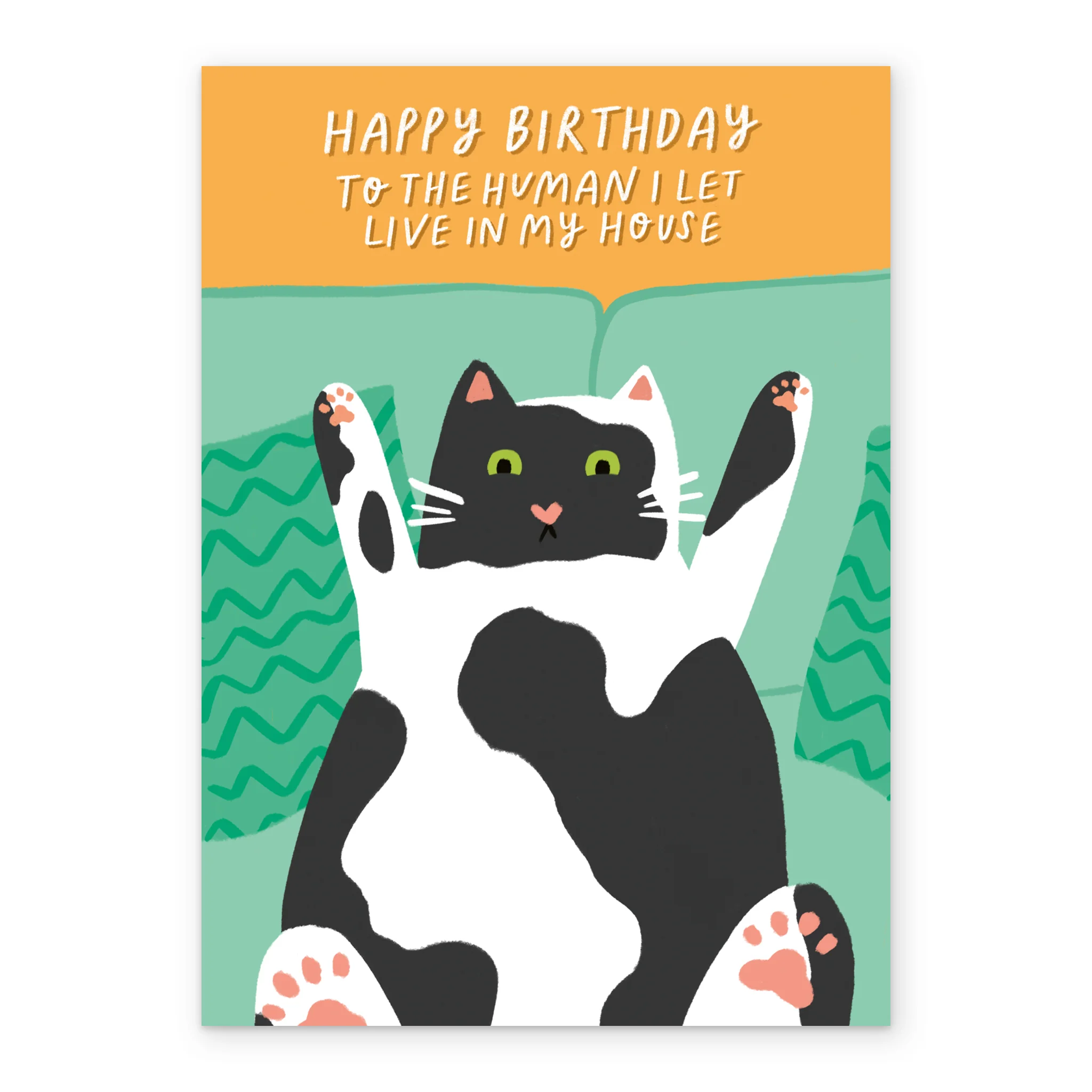 Personalised Birthday Card Funny Cat Roommate Illustration - Image 2