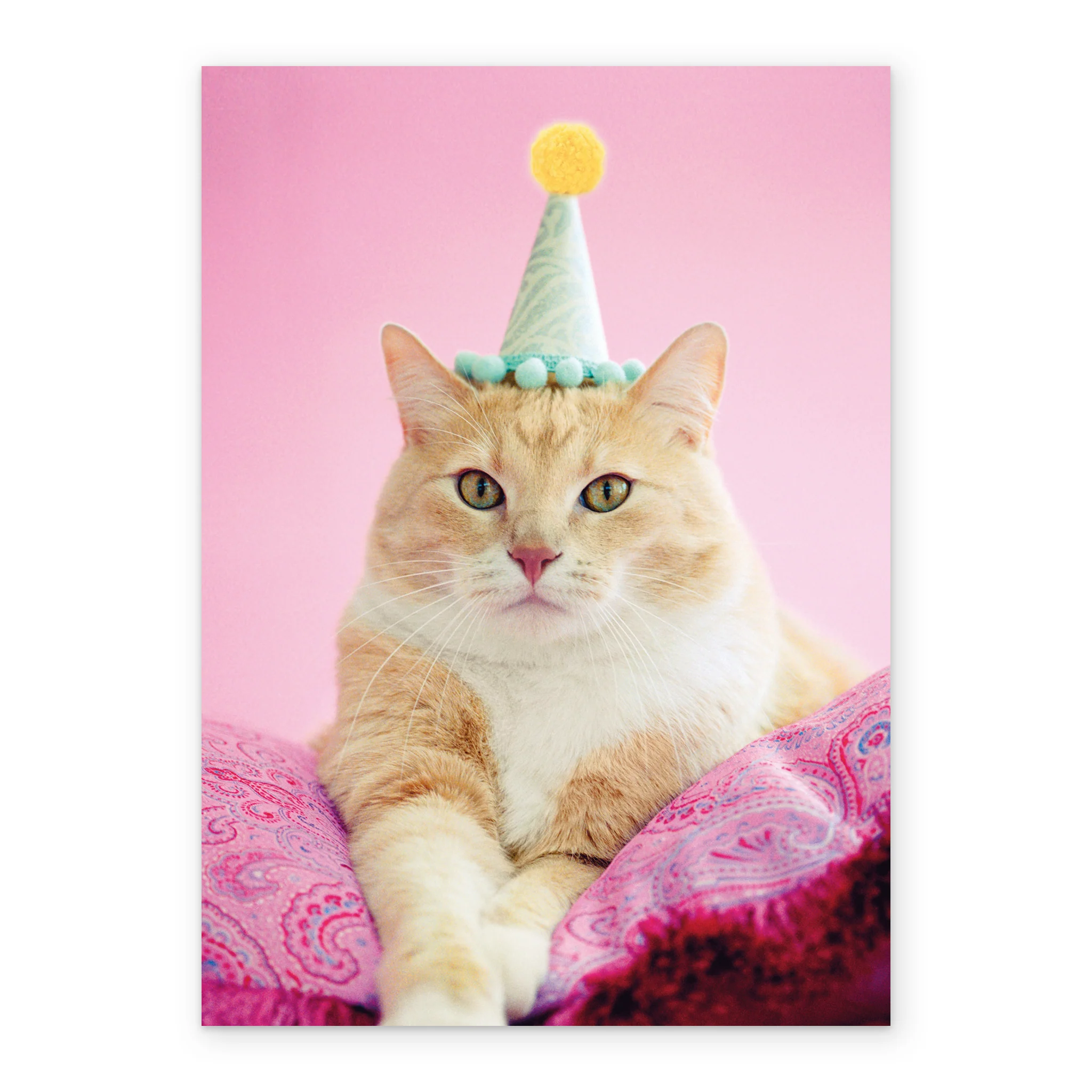 Personalised Cat Blank Card - Image 2
