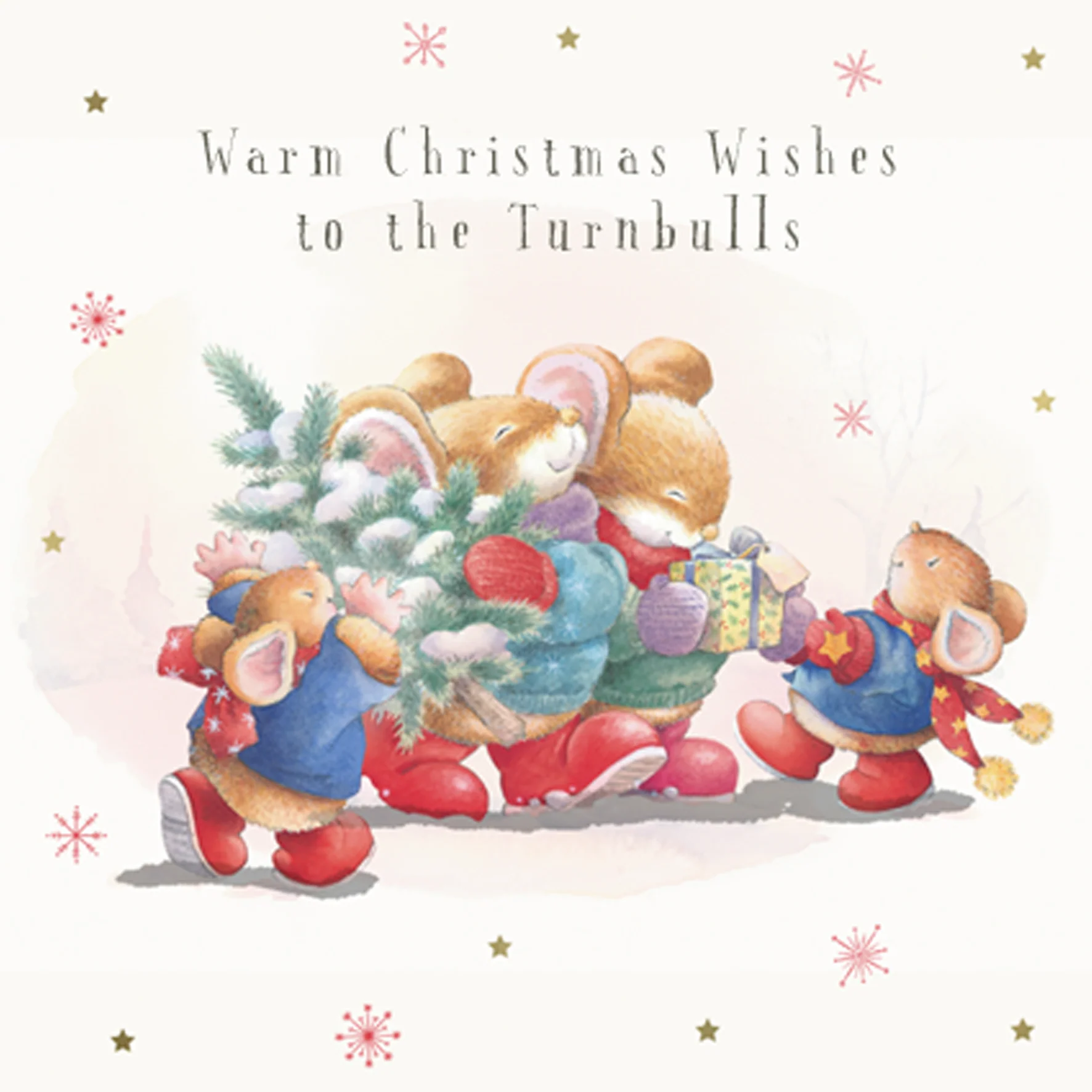 Personalised Christmas Family Country Companions Mice Card