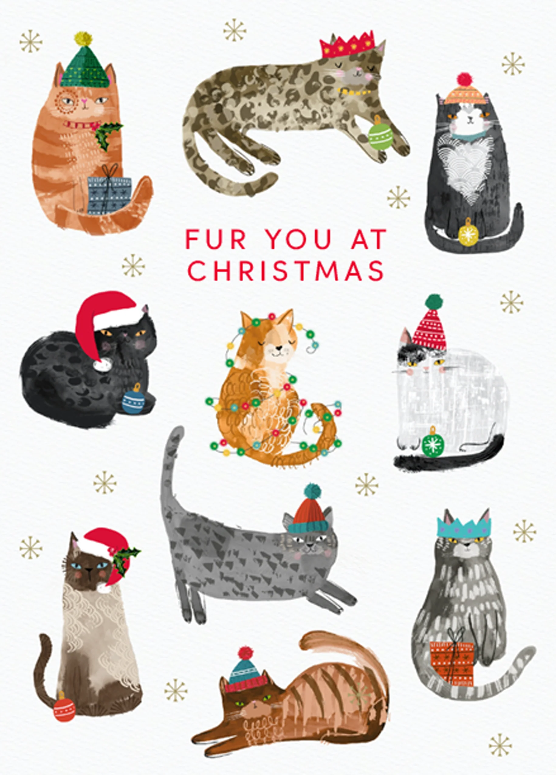 Personalised Classic Christmas Pet Editable Fur You Cats Card