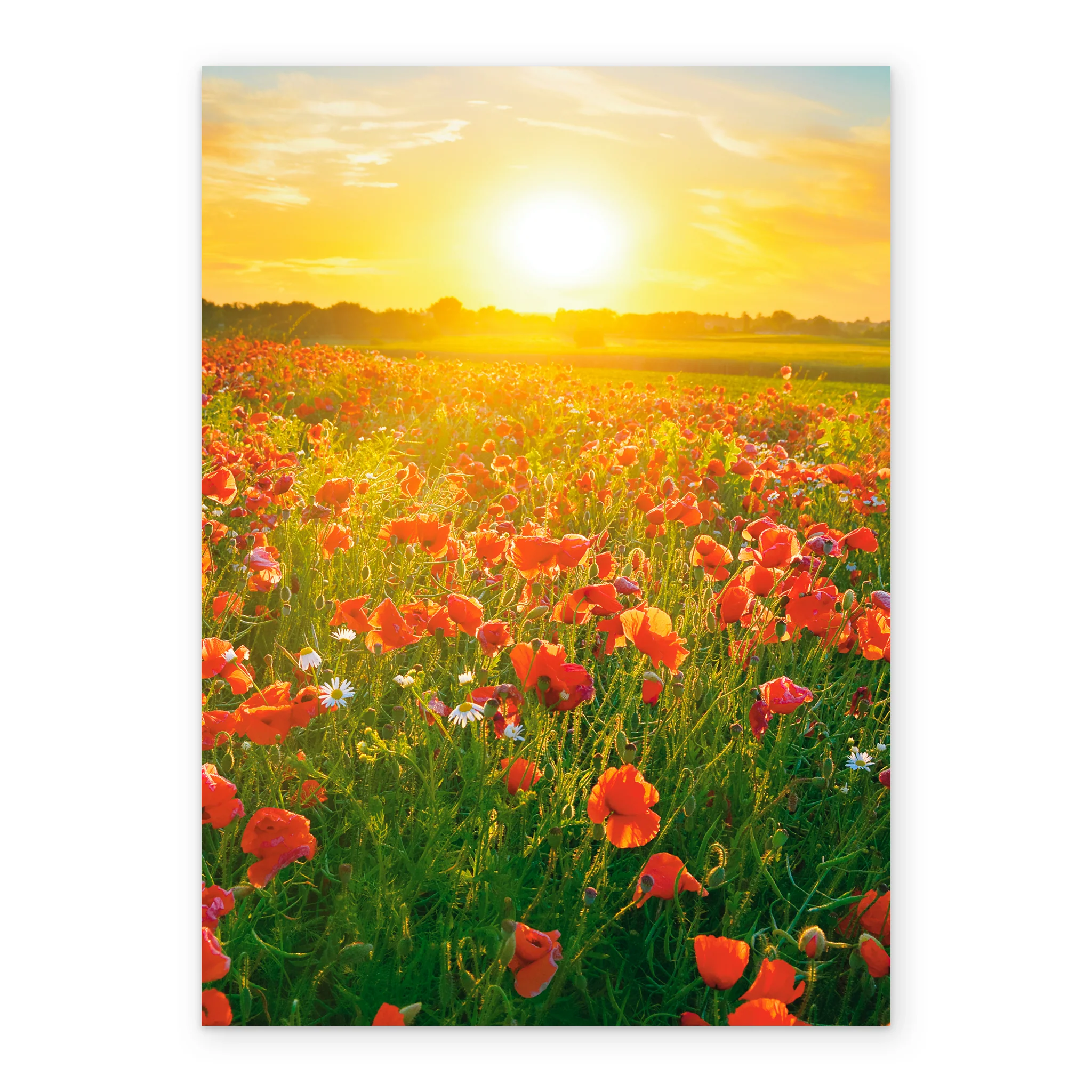 Personalised Contemporary Dusk Gallery Card - Image 2