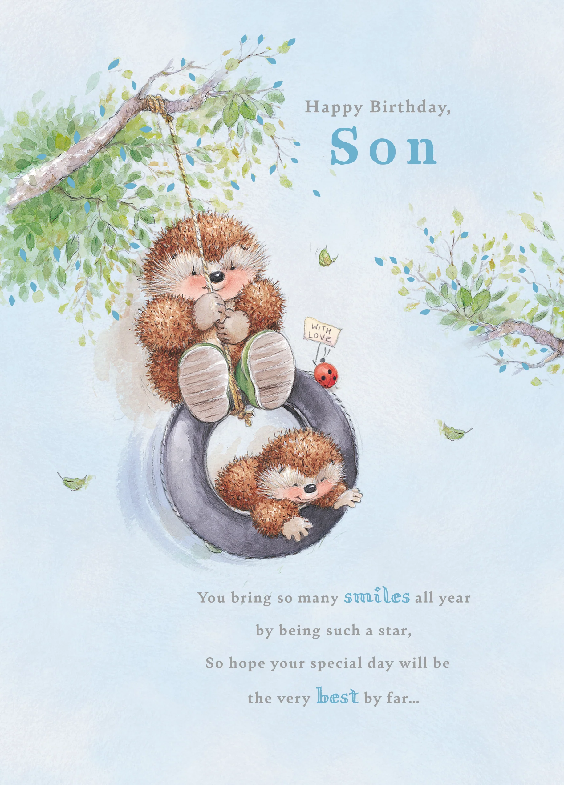 Personalised Country Companions Birthday Card for Son