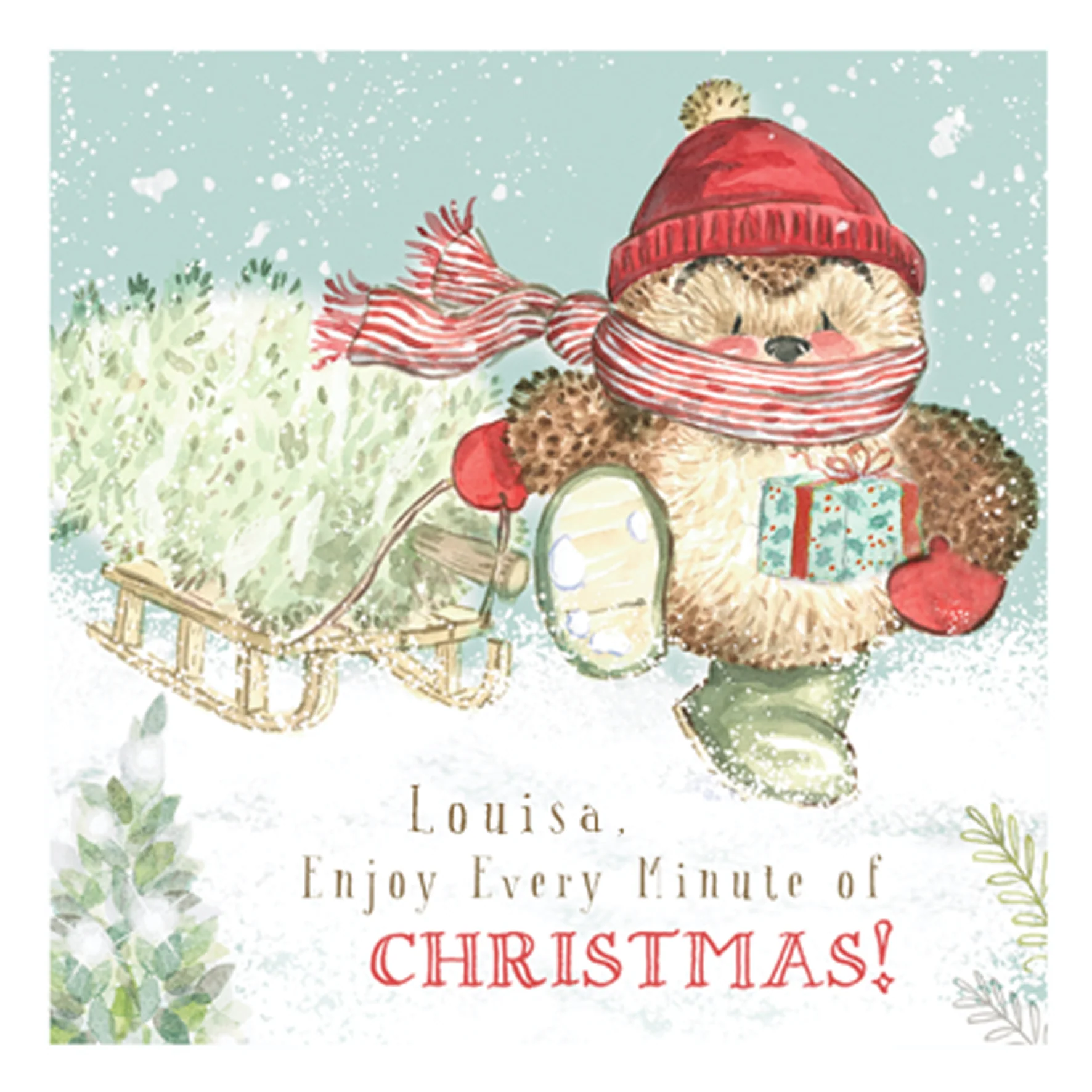Personalised Cute Christmas Country Companions Hedgehog Card