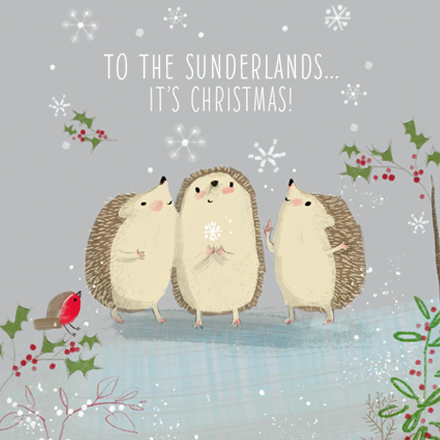 Personalised Cute Christmas To All Family Hedgehogs Card