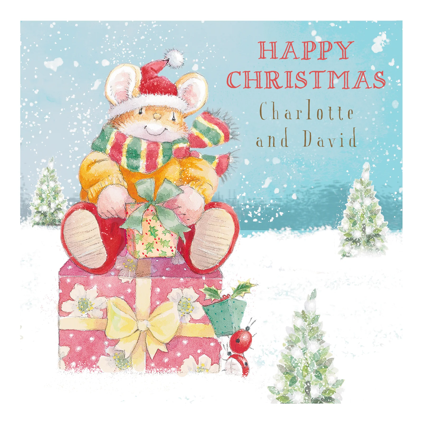 Personalised Cute Christmas To Both Country Companions Card