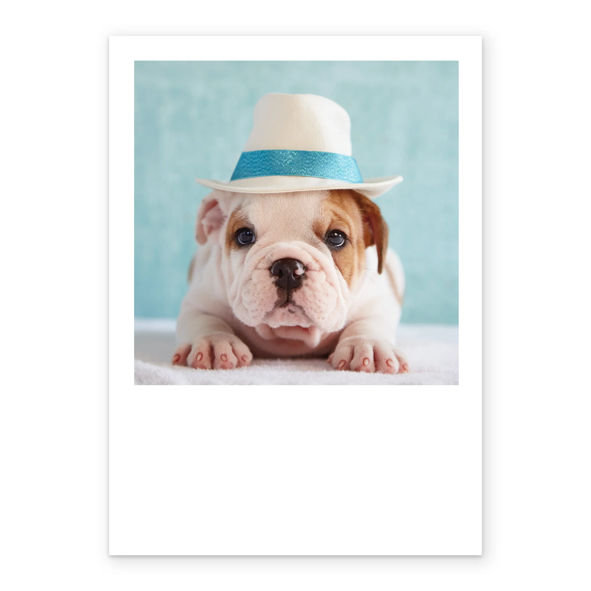 Personalised Cute Dog In Hat Card - Image 2