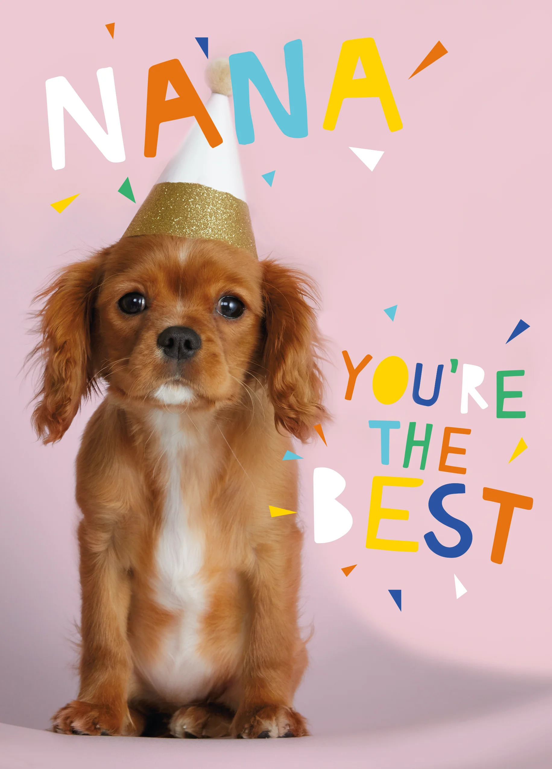 Personalised Cute Dog In Party Hat Birthday Card For Nan