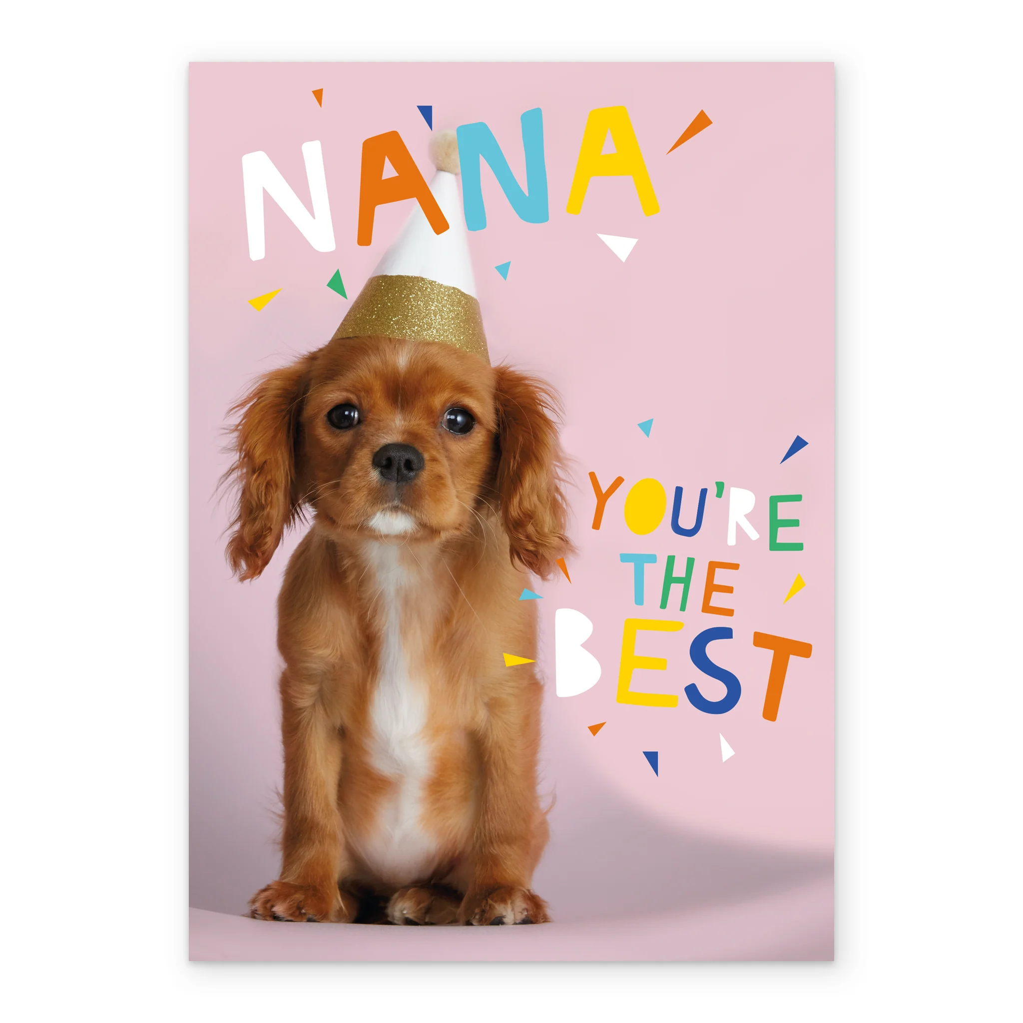 Personalised Cute Dog In Party Hat Birthday Card For Nan - Image 2