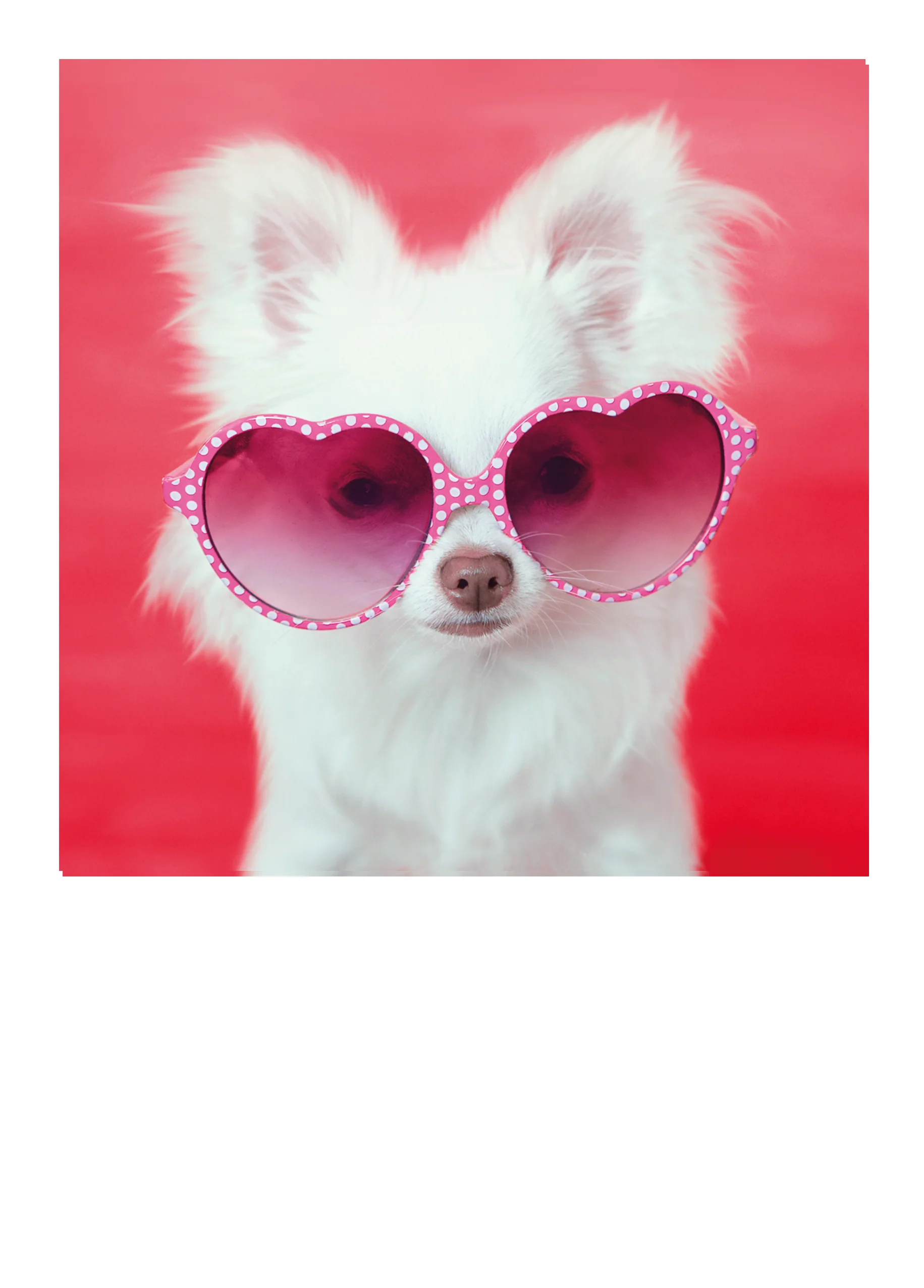 Personalised Cute Dog With Heart Sunglasses Card