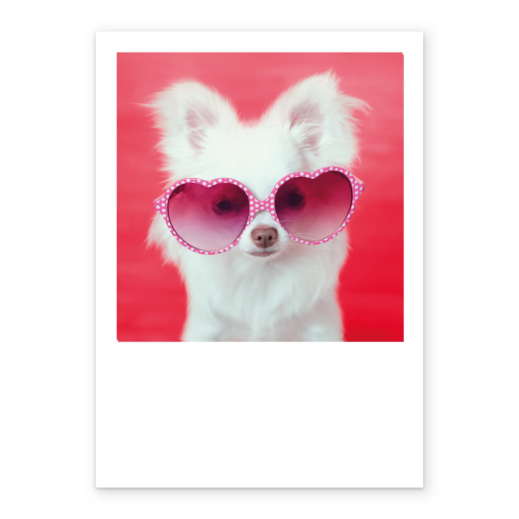 Personalised Cute Dog With Heart Sunglasses Card - Image 2