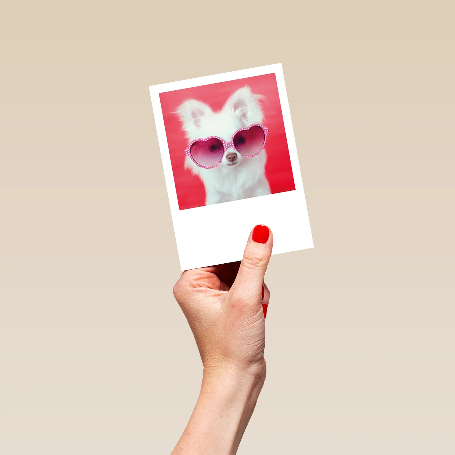 Personalised Cute Dog With Heart Sunglasses Card - Image 4