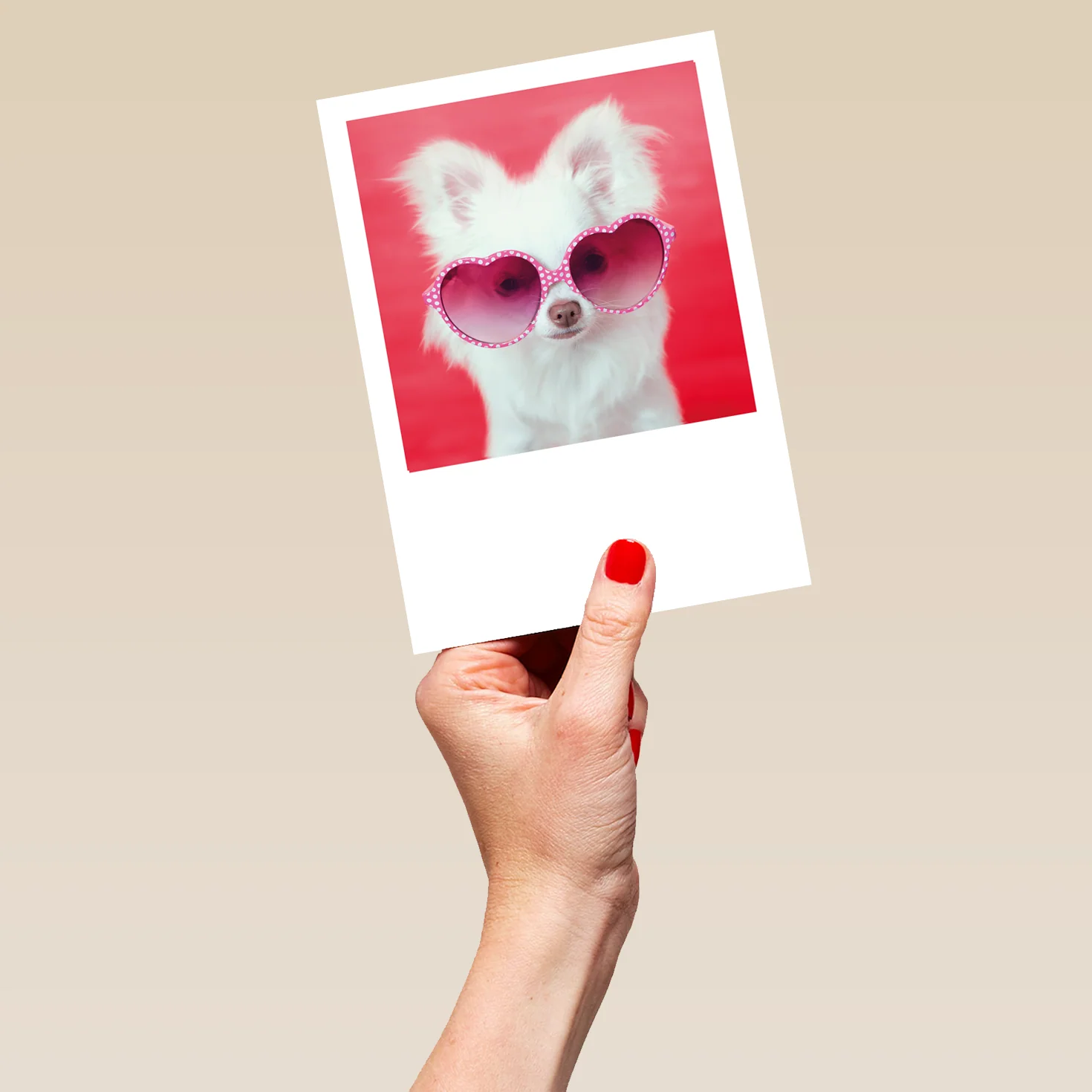 Personalised Cute Dog With Heart Sunglasses Card - Image 5