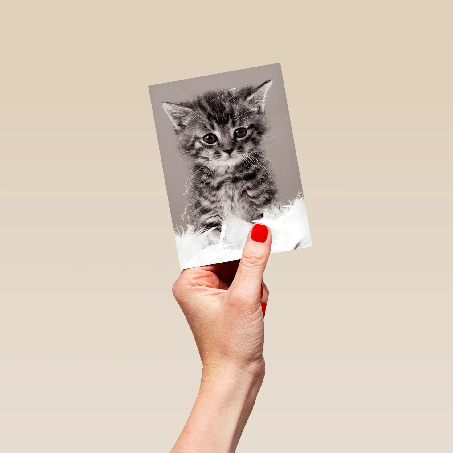 Personalised Cute Kitten Card - Image 4
