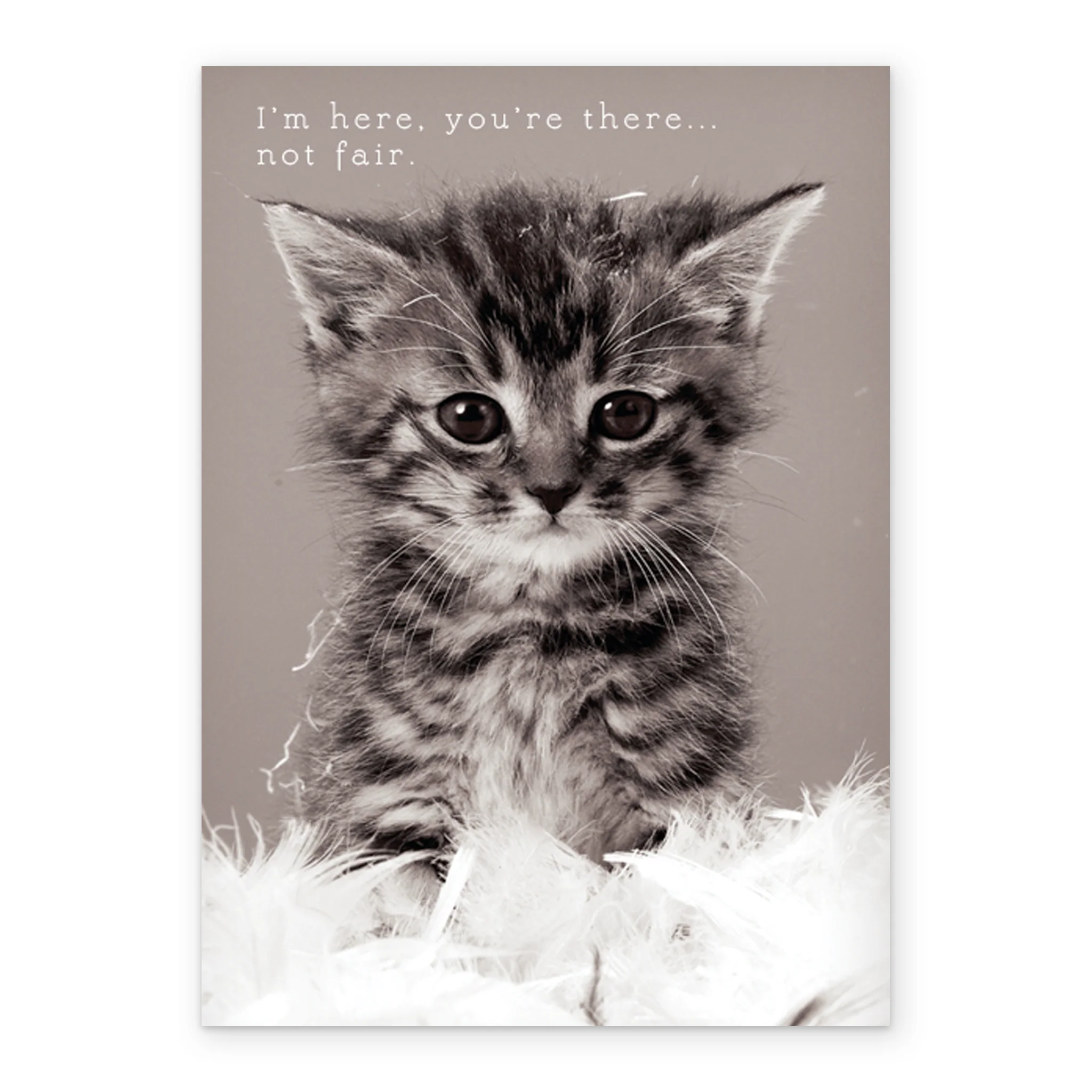 Personalised Cute Kitten Miss You Card - Image 2