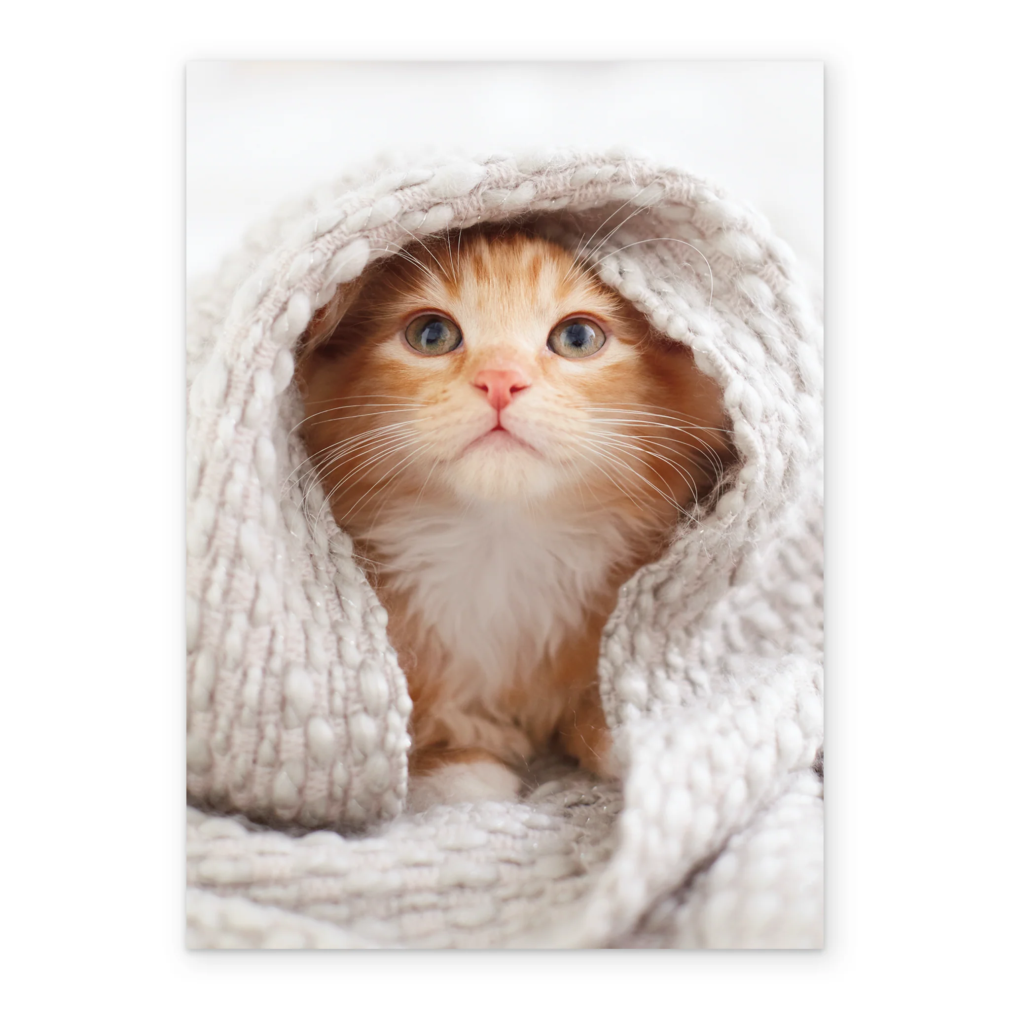 Personalised Cute Kitten With Blanket Card - Image 2
