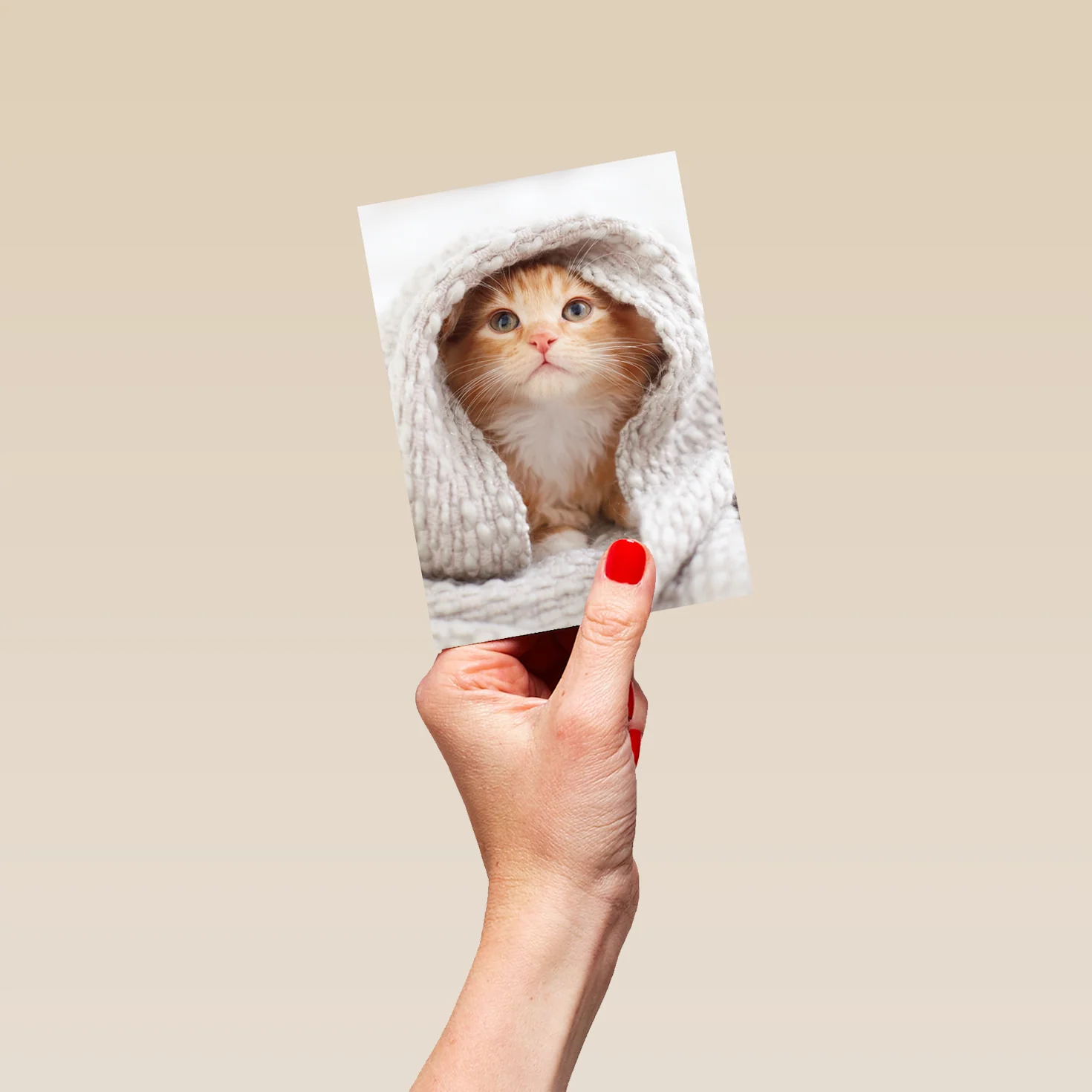 Personalised Cute Kitten With Blanket Card - Image 4
