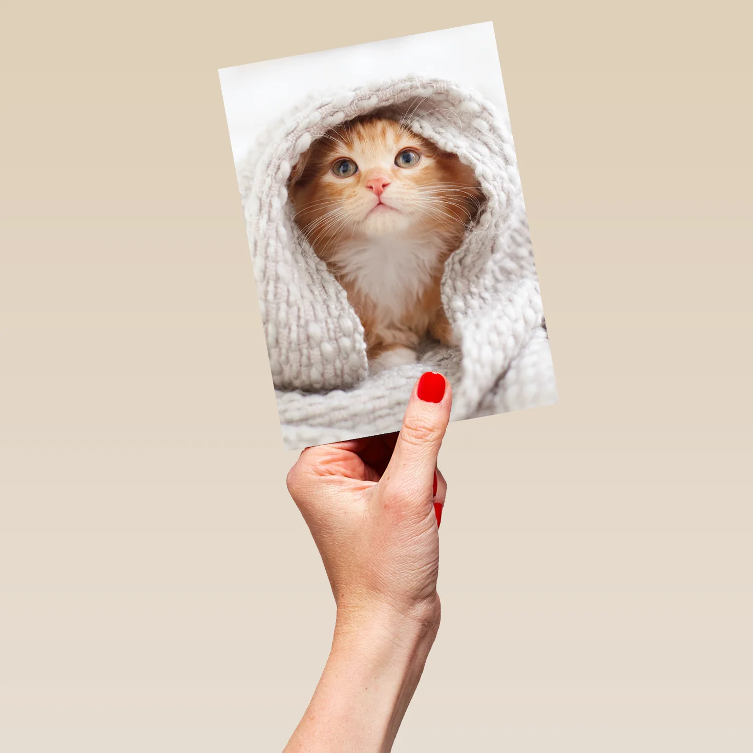 Personalised Cute Kitten With Blanket Card - Image 5