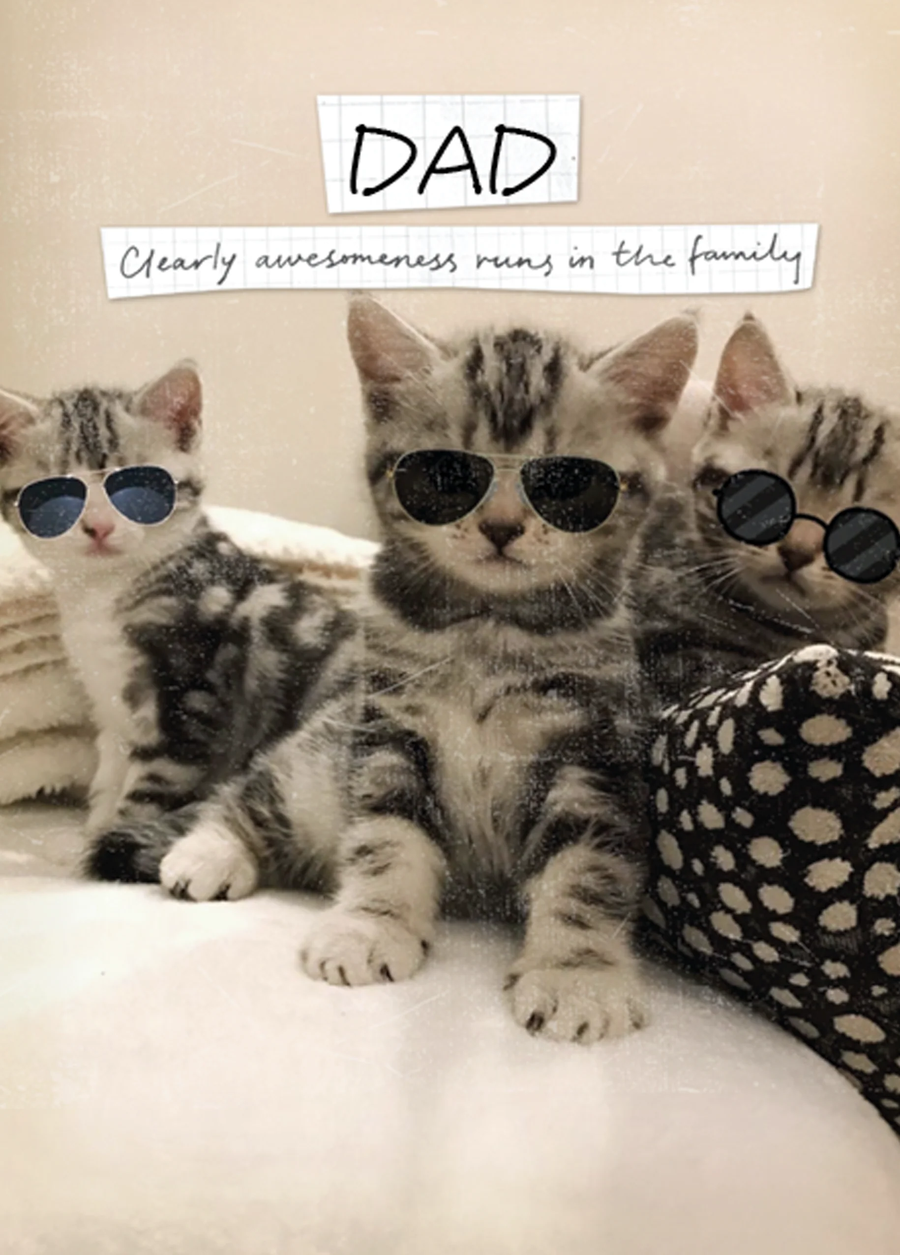 Personalised Cute Kittens Dad Birthday Card
