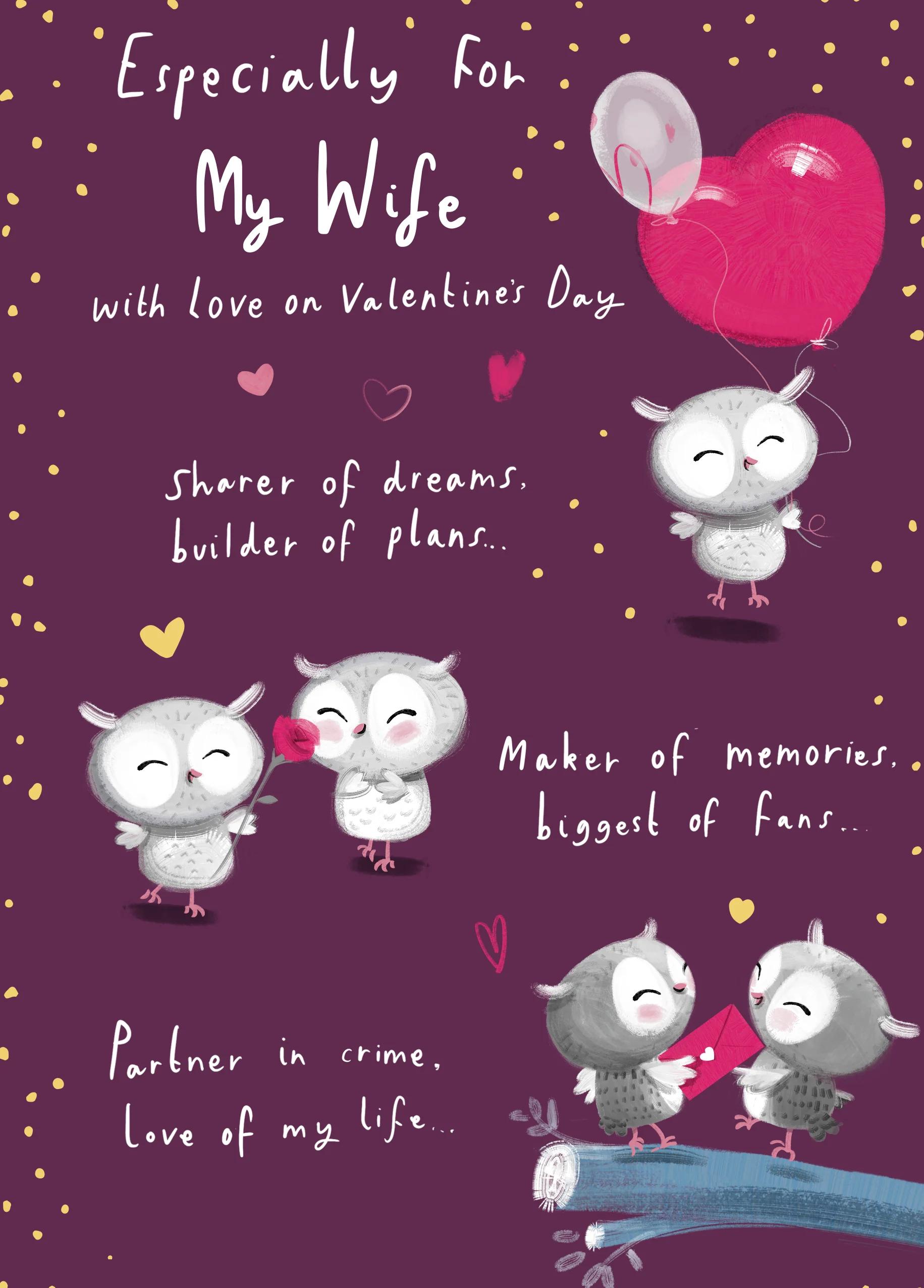 Personalised Cute Owls & Heart Valentine's Day Card for Wife