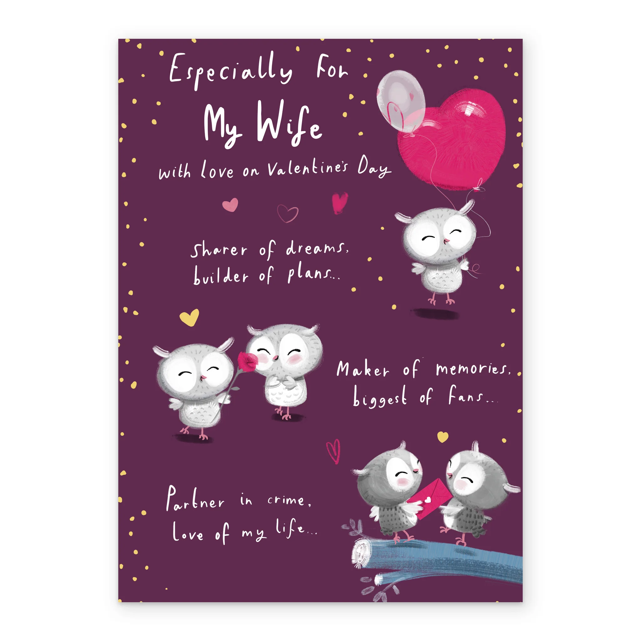 Personalised Cute Owls & Heart Valentine's Day Card for Wife - Image 2