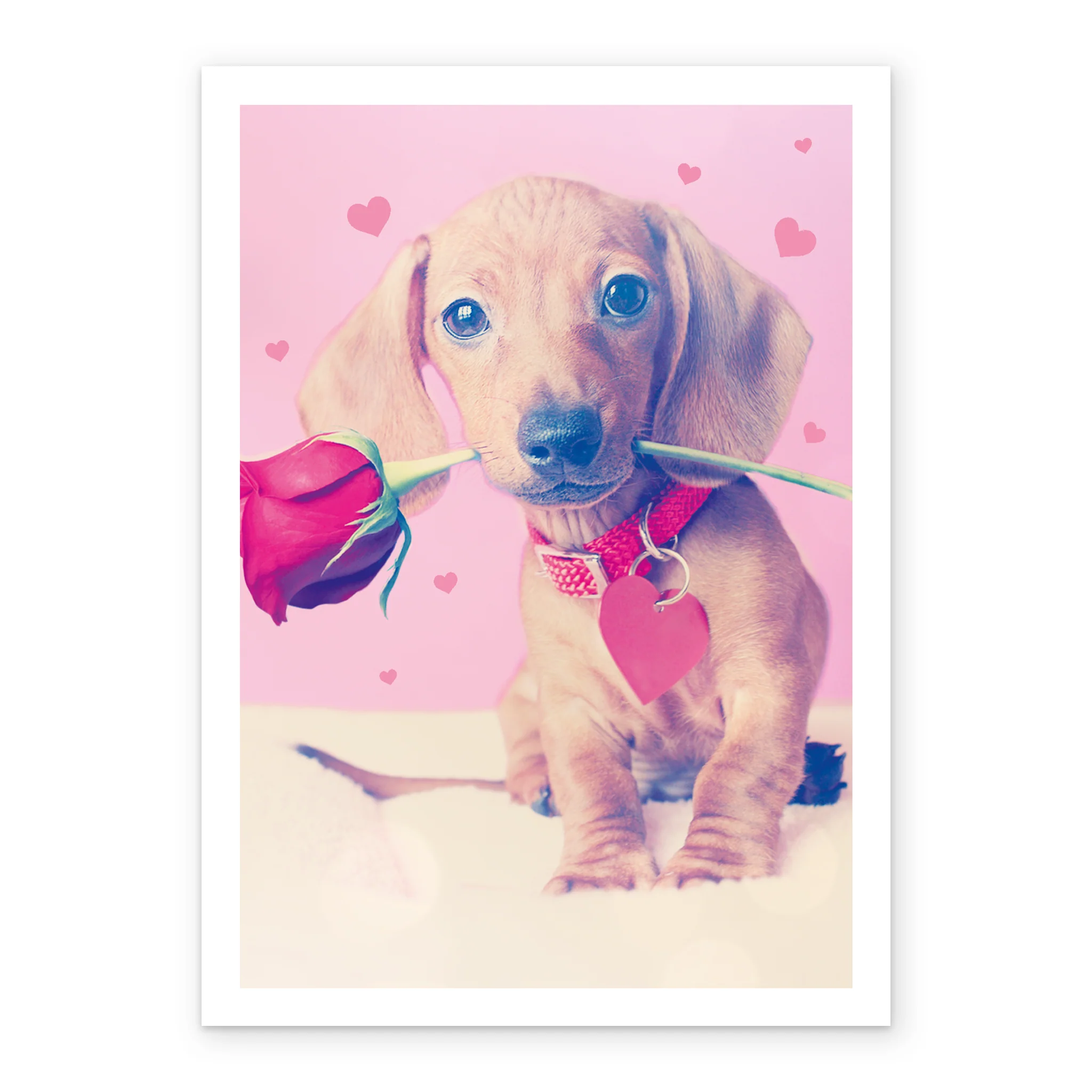 Personalised Cute Puppy With Rose Valentine's Day Card - Image 2