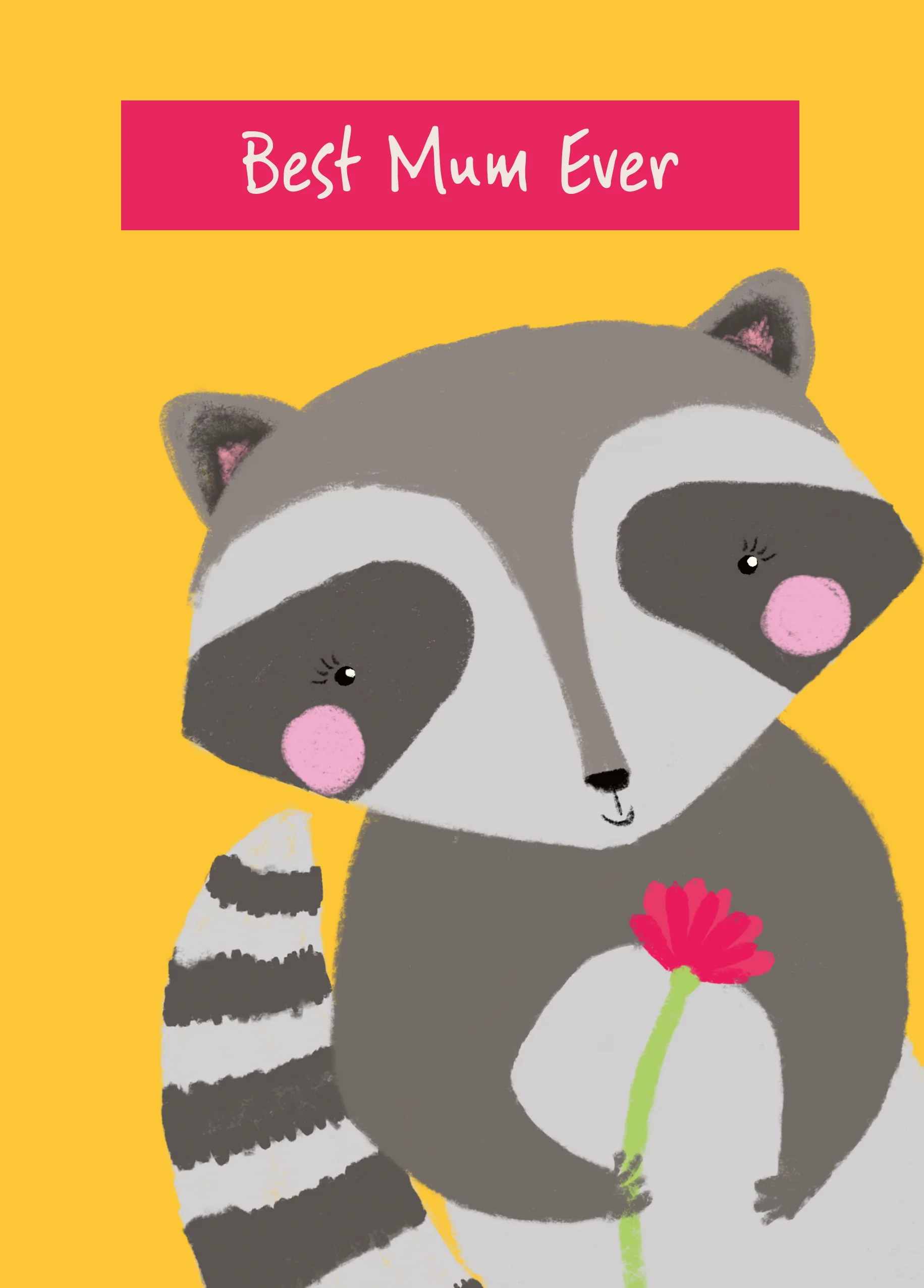 Personalised Cute Raccoon Mother's Day Card For Mum