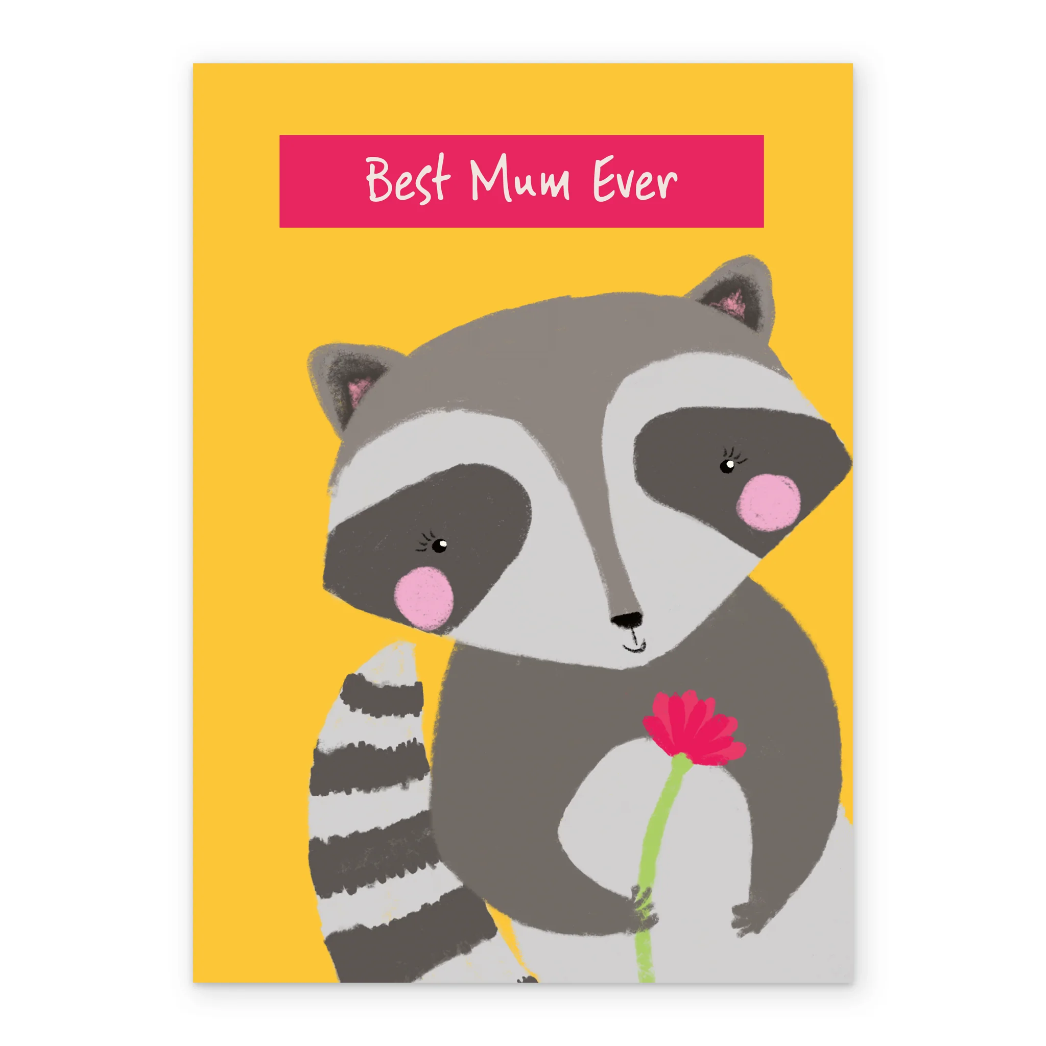 Personalised Cute Raccoon Mother's Day Card For Mum - Image 2