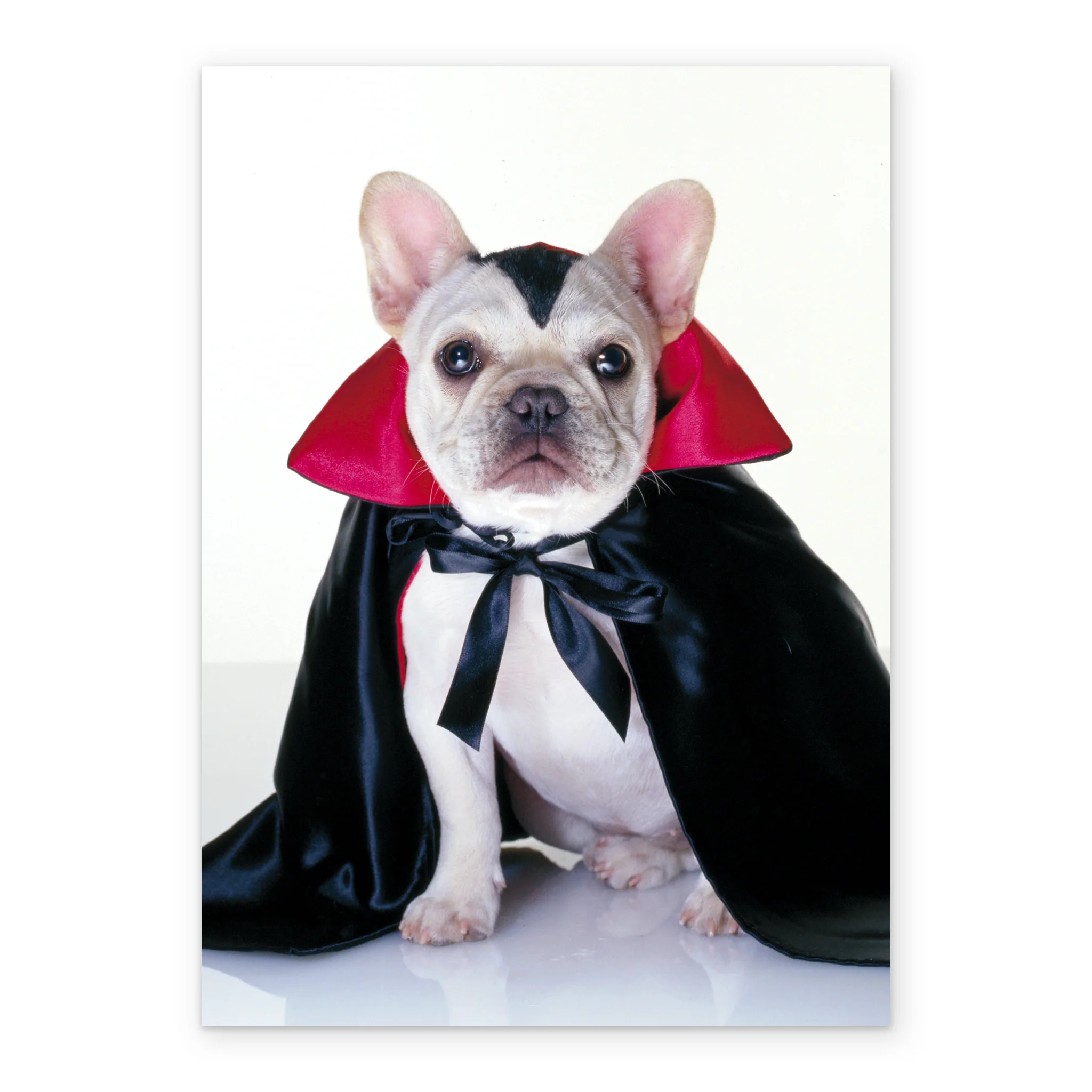 Personalised Cute Vampire French Bulldog Halloween Card - Image 2