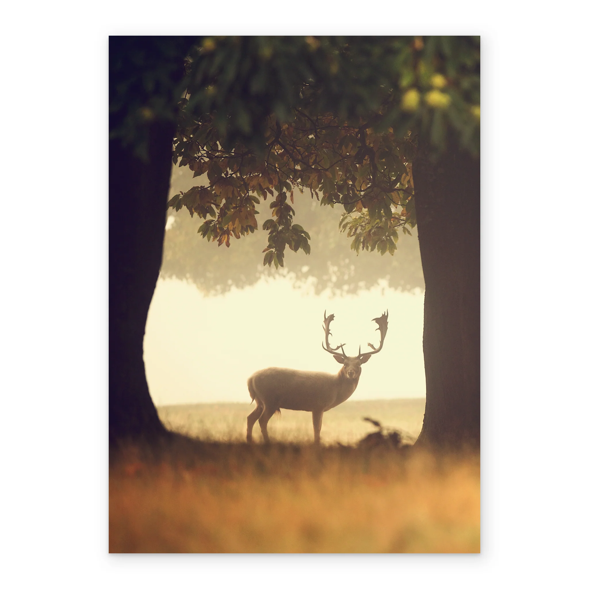Personalised Deer In Countryside Design Card - Image 2