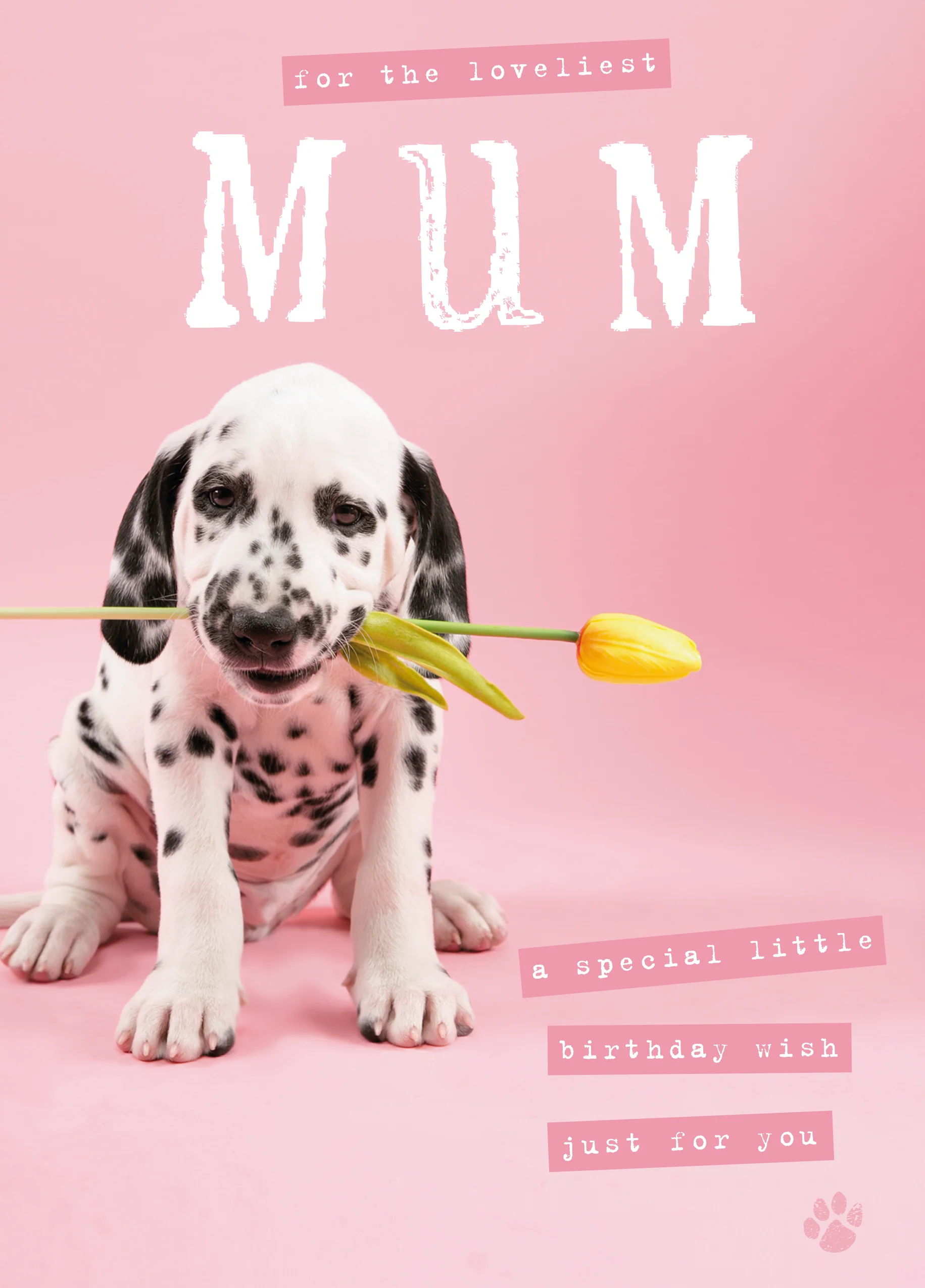Personalised Dog Birthday Card For Mum