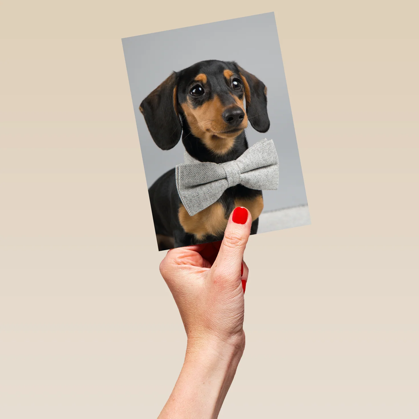 Personalised Dog Blank Card - Image 5