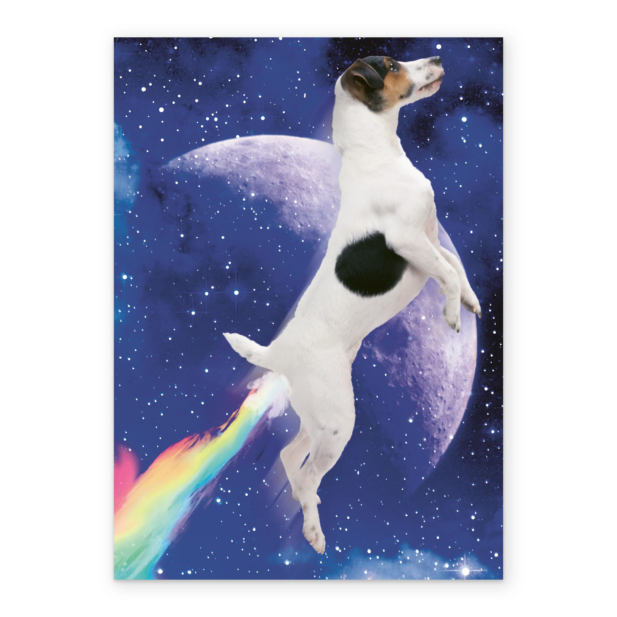Personalised Dog In Shoebox Birthday Card - Image 2