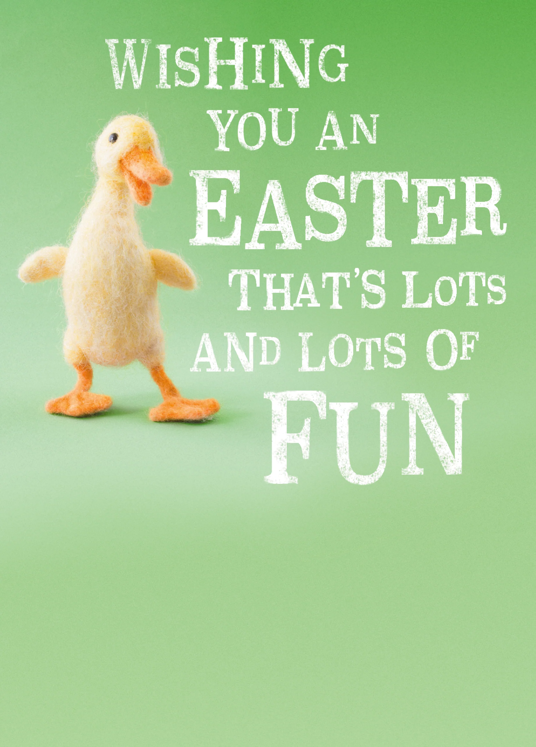 Personalised Duckling Wishing Lots Of Fun Easter Card