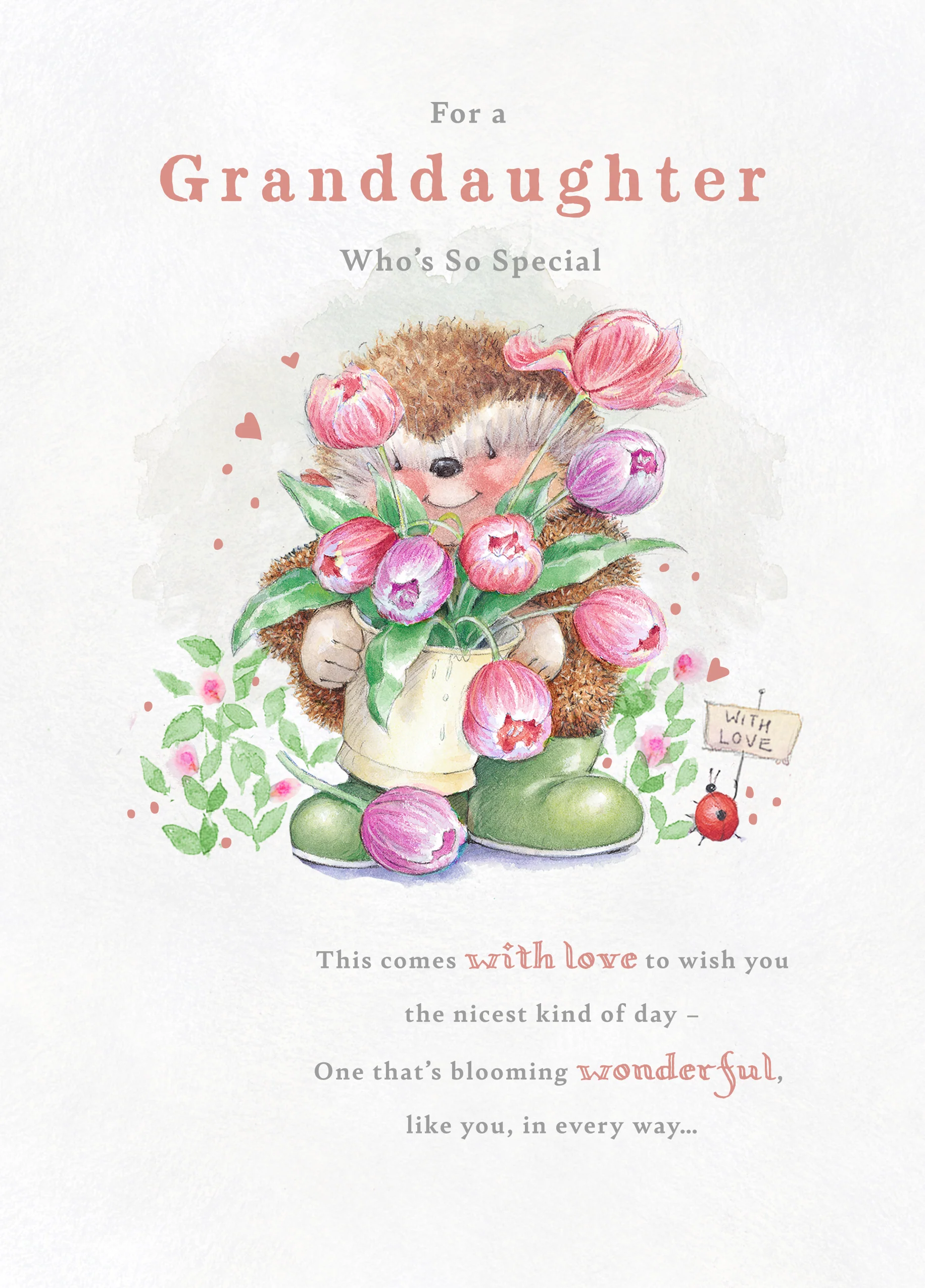 Personalised & Editable Country Companions Birthday Card for Granddaughter