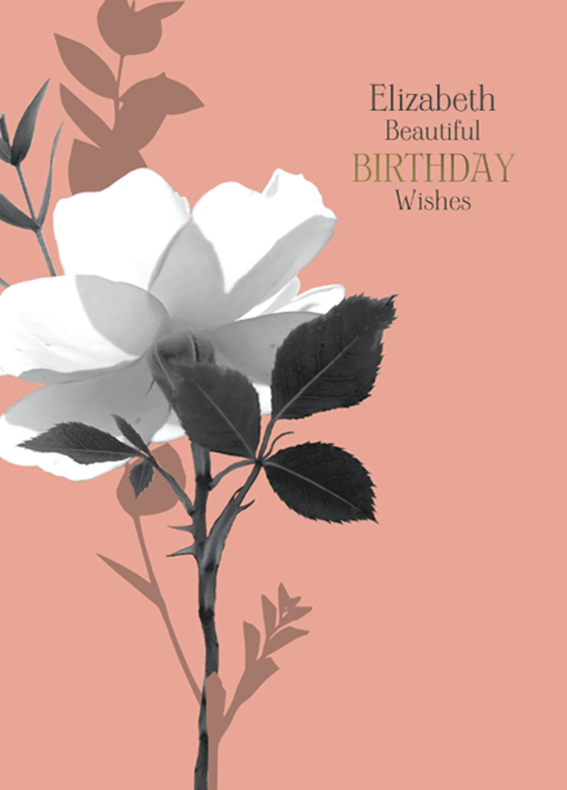 Personalised Editable Flower Beautiful Birthday Wishes Card