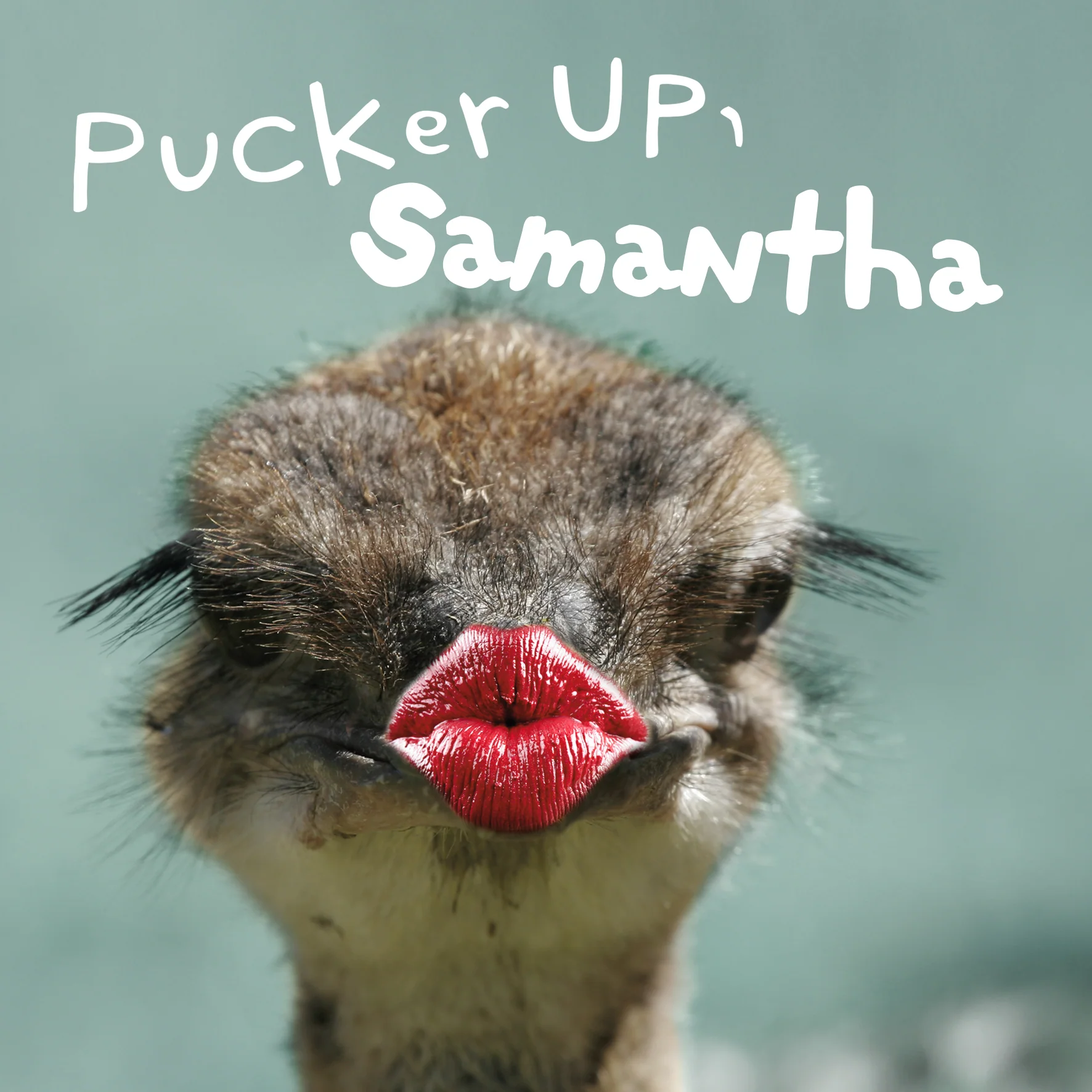 Personalised Editable Funny 'Pucker Up' Ostrich Birthday Card